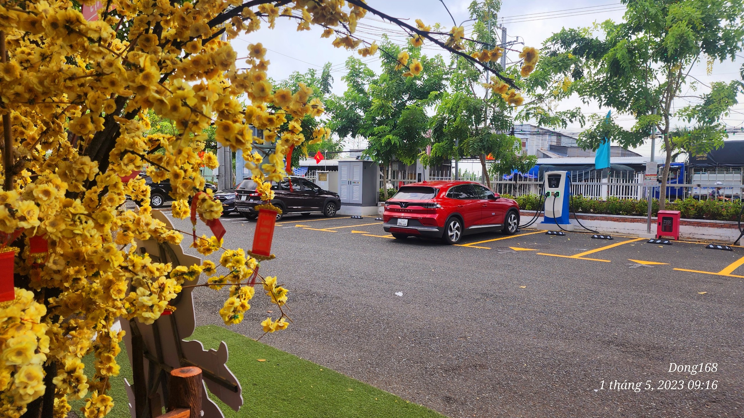 IMG_1683013055446_1683013148671