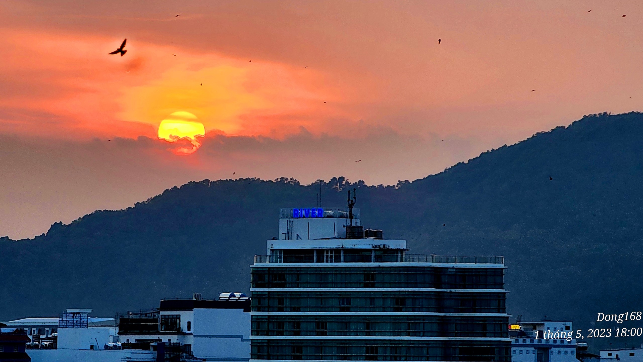 IMG_1683013054505_1683013143353