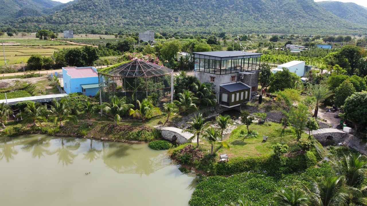 4ae799403a71eb2fb2604