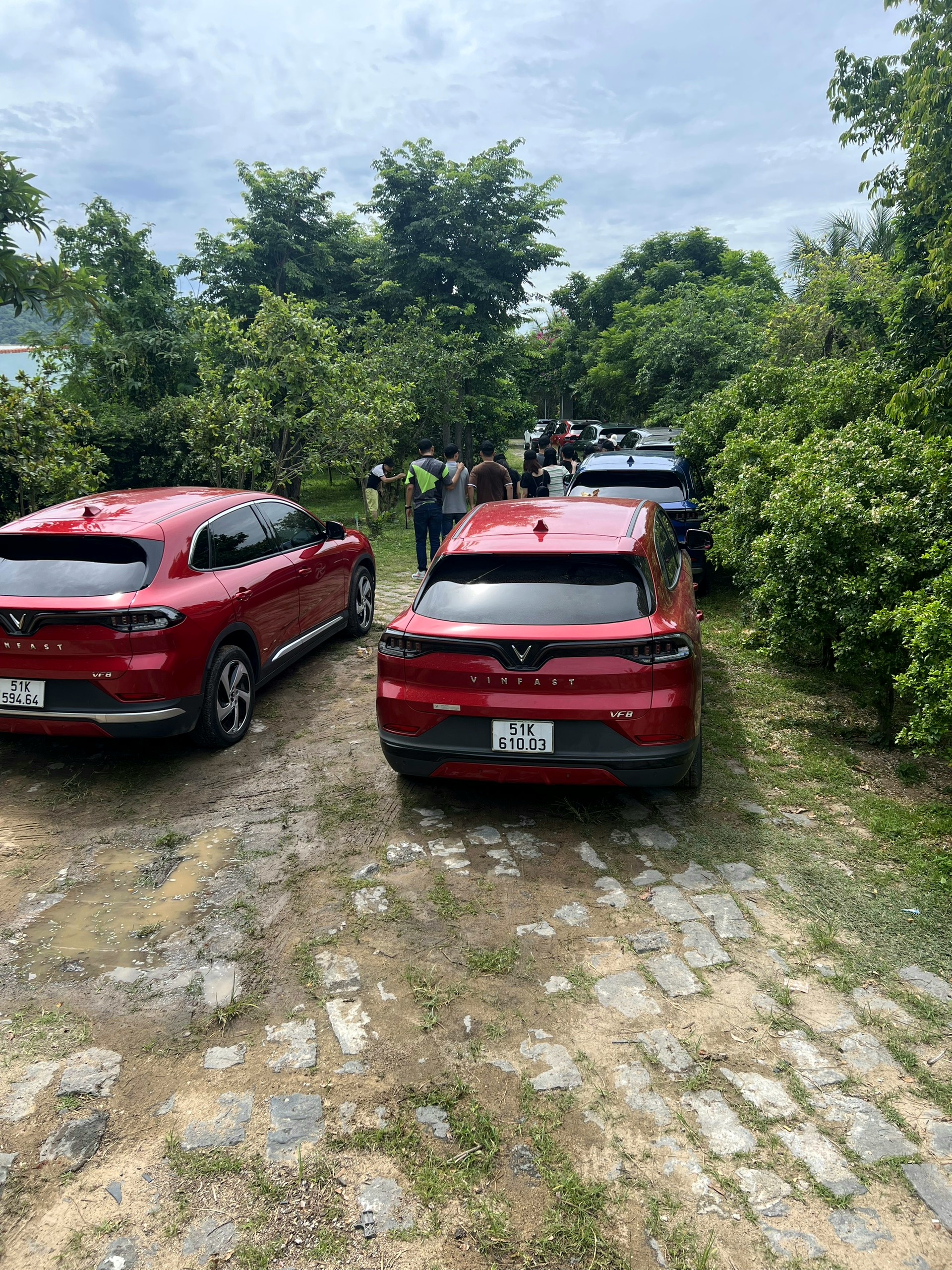 RemasterDirector_18da6b0cf