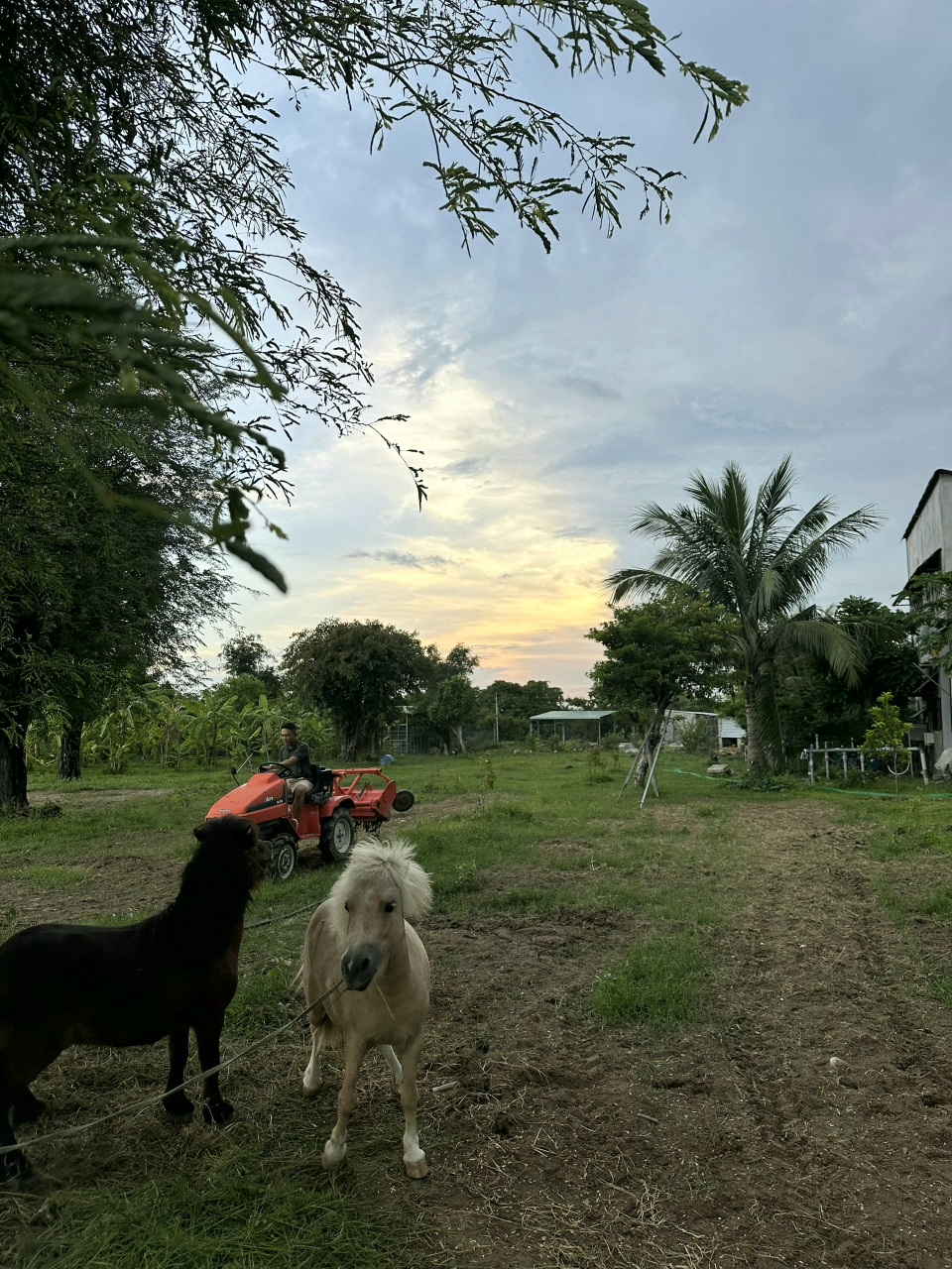 RemasterDirector_18da6b0cf