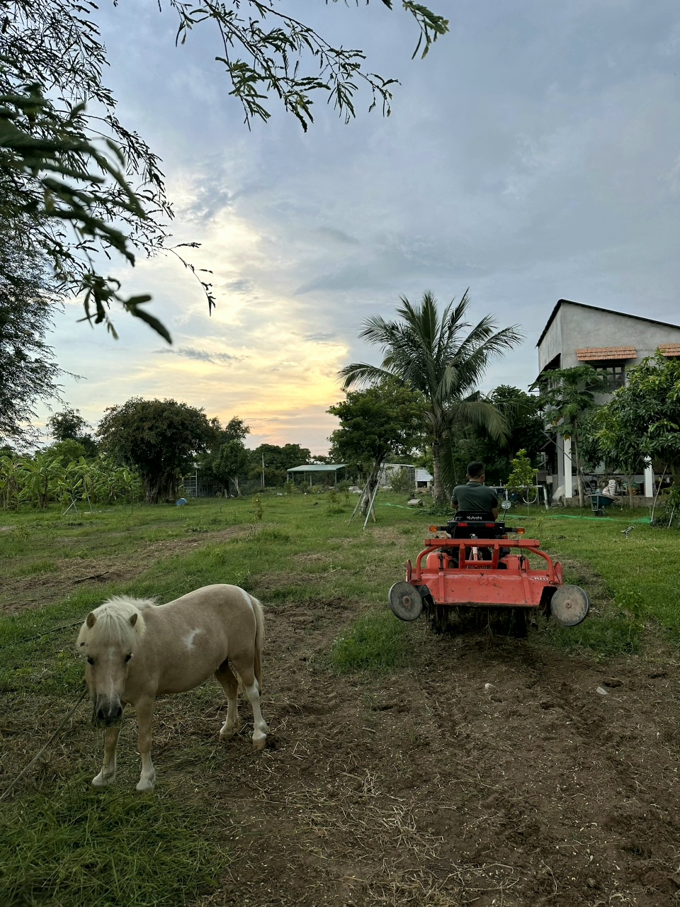 RemasterDirector_18da6b0cf