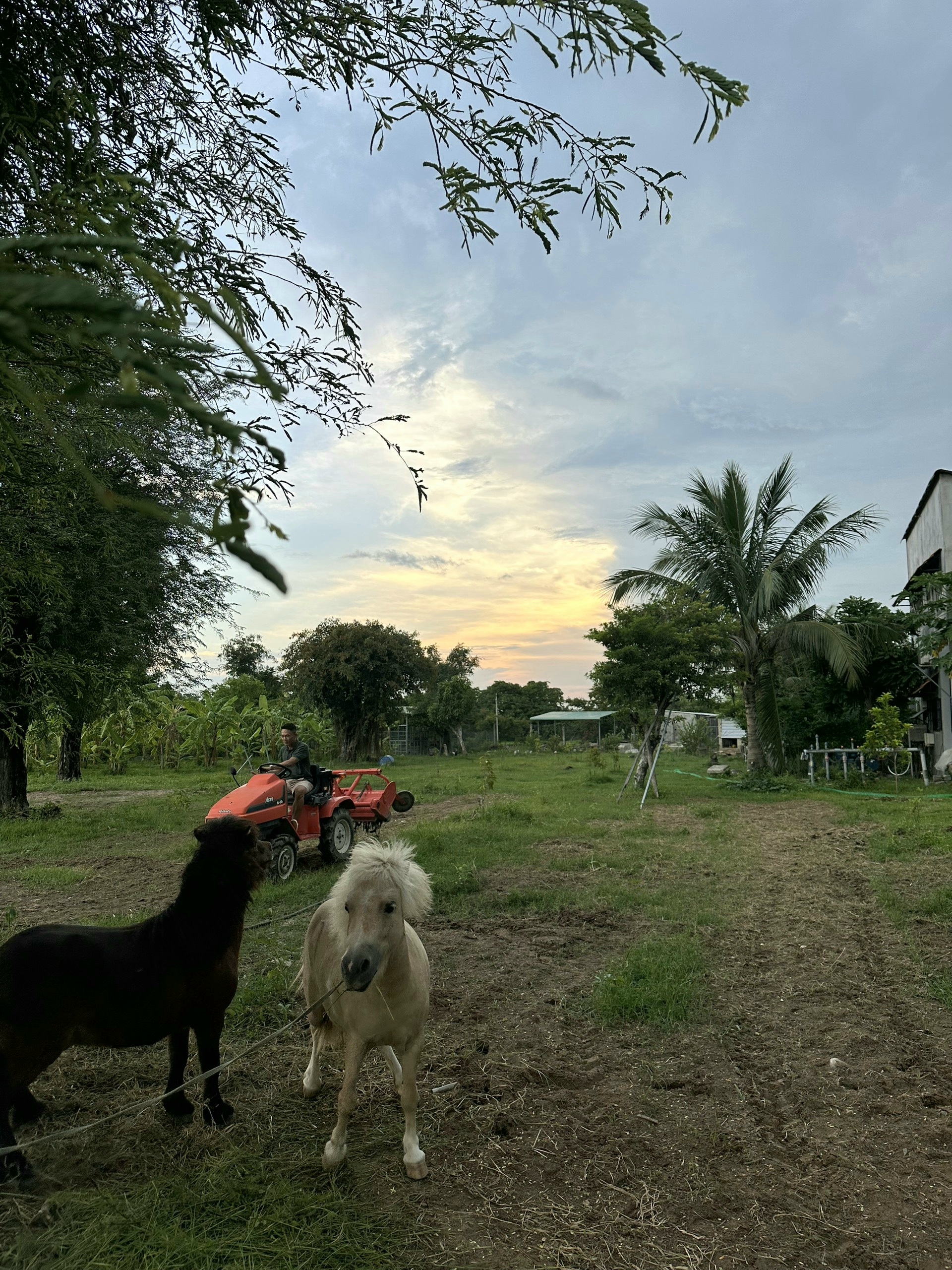 RemasterDirector_18da6b0cf