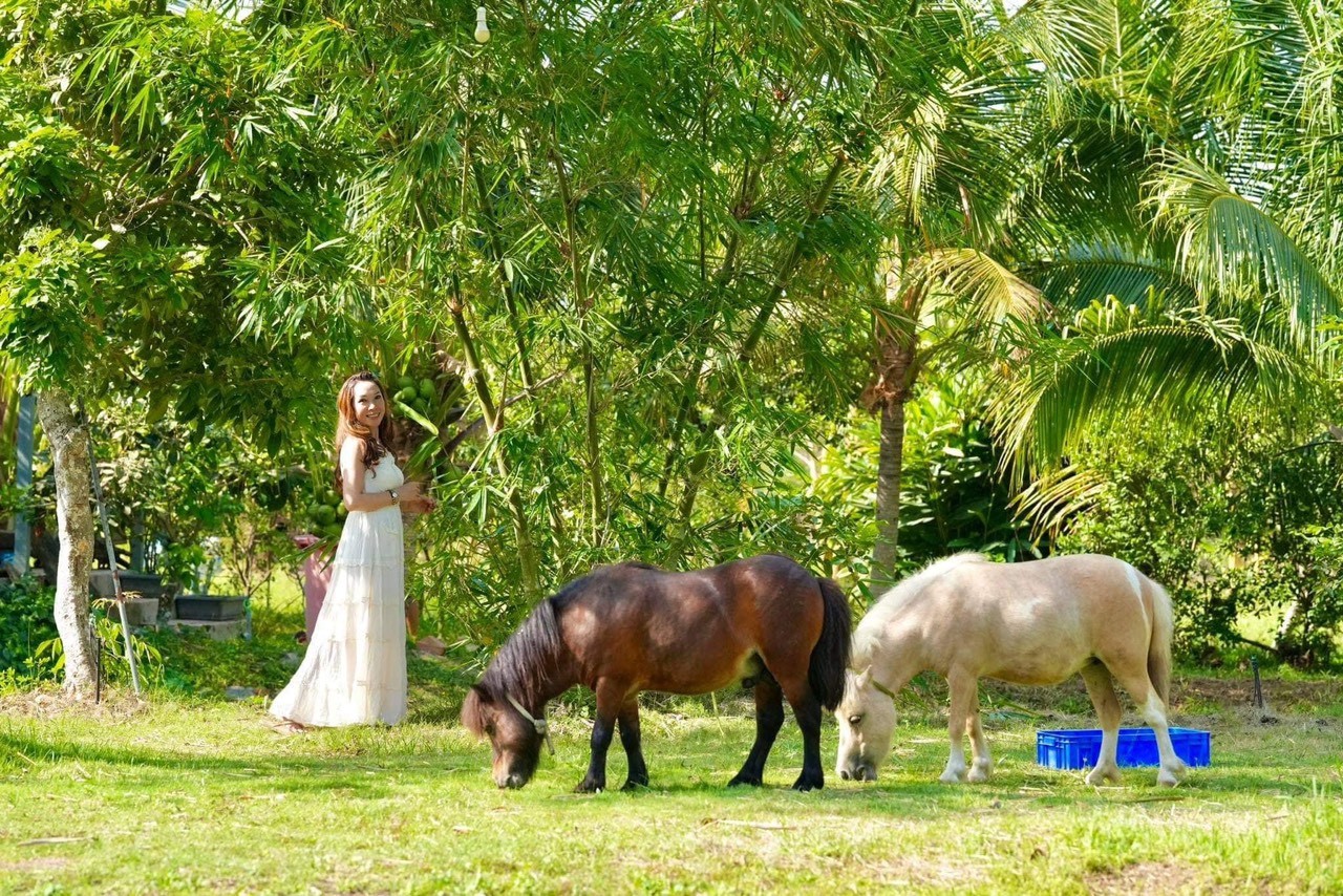 1ef98a7c294df813a15c2