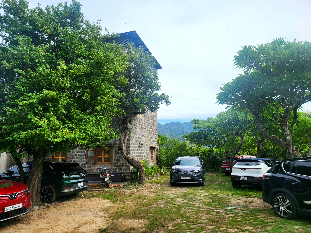 RemasterDirector_18da6b0cf