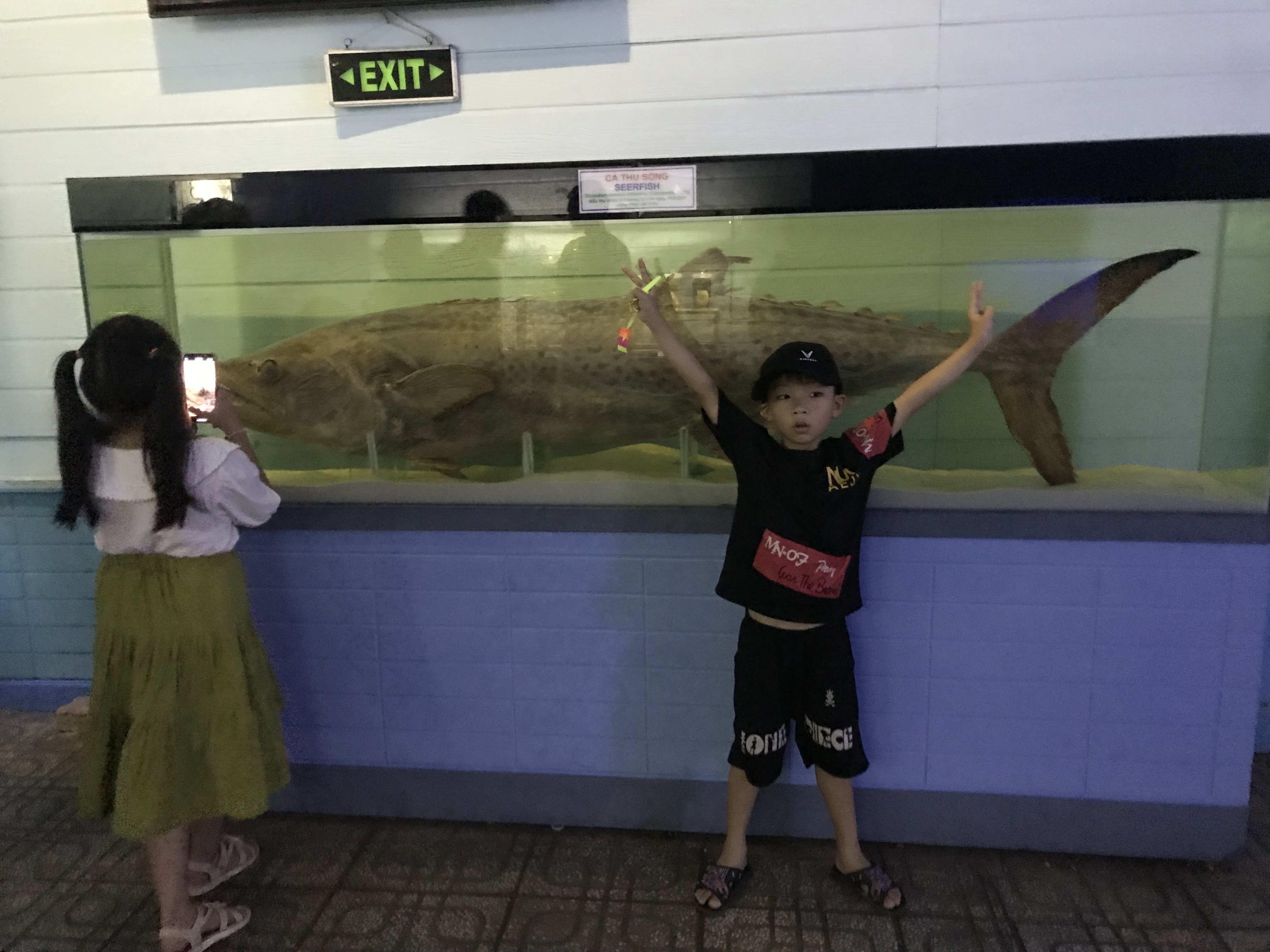 58B8DC24-8E62-49F1-A59F-0ECCE75AEA9C