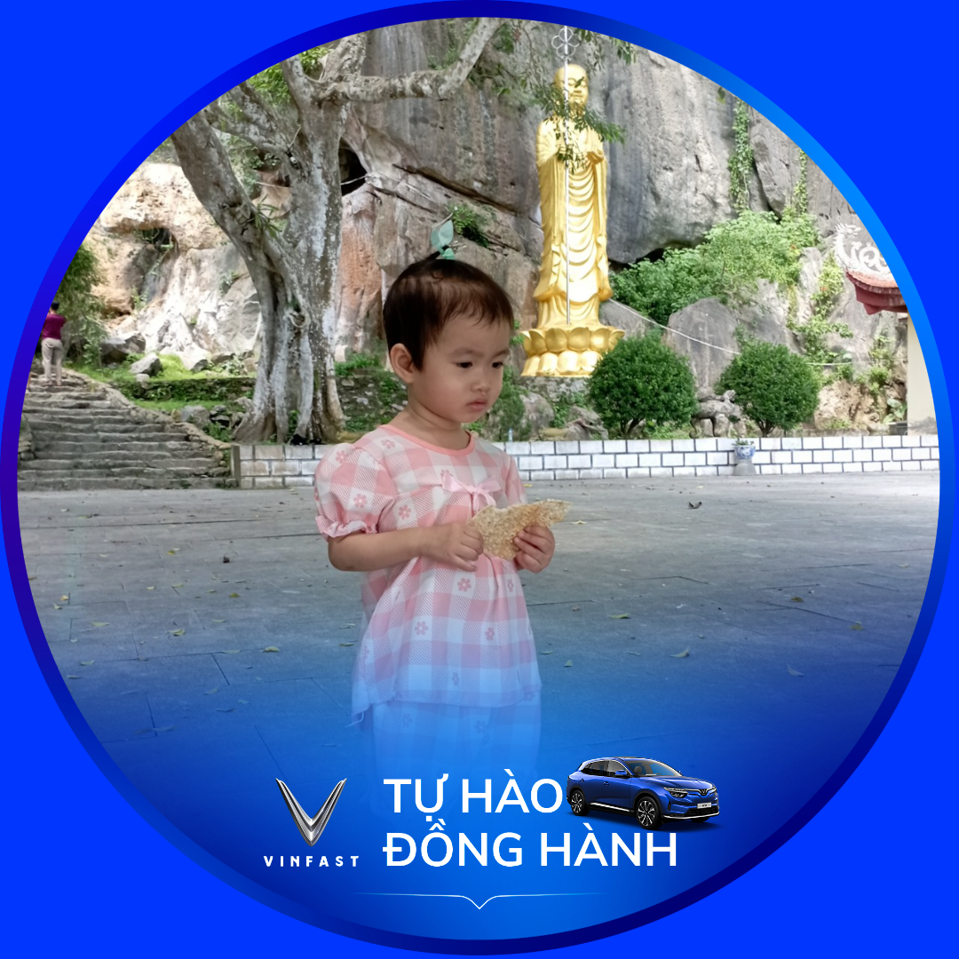 vinfasttuhaodonghanh-9b7edb84-229f-4033-a51c-4bccc2dbe2ed