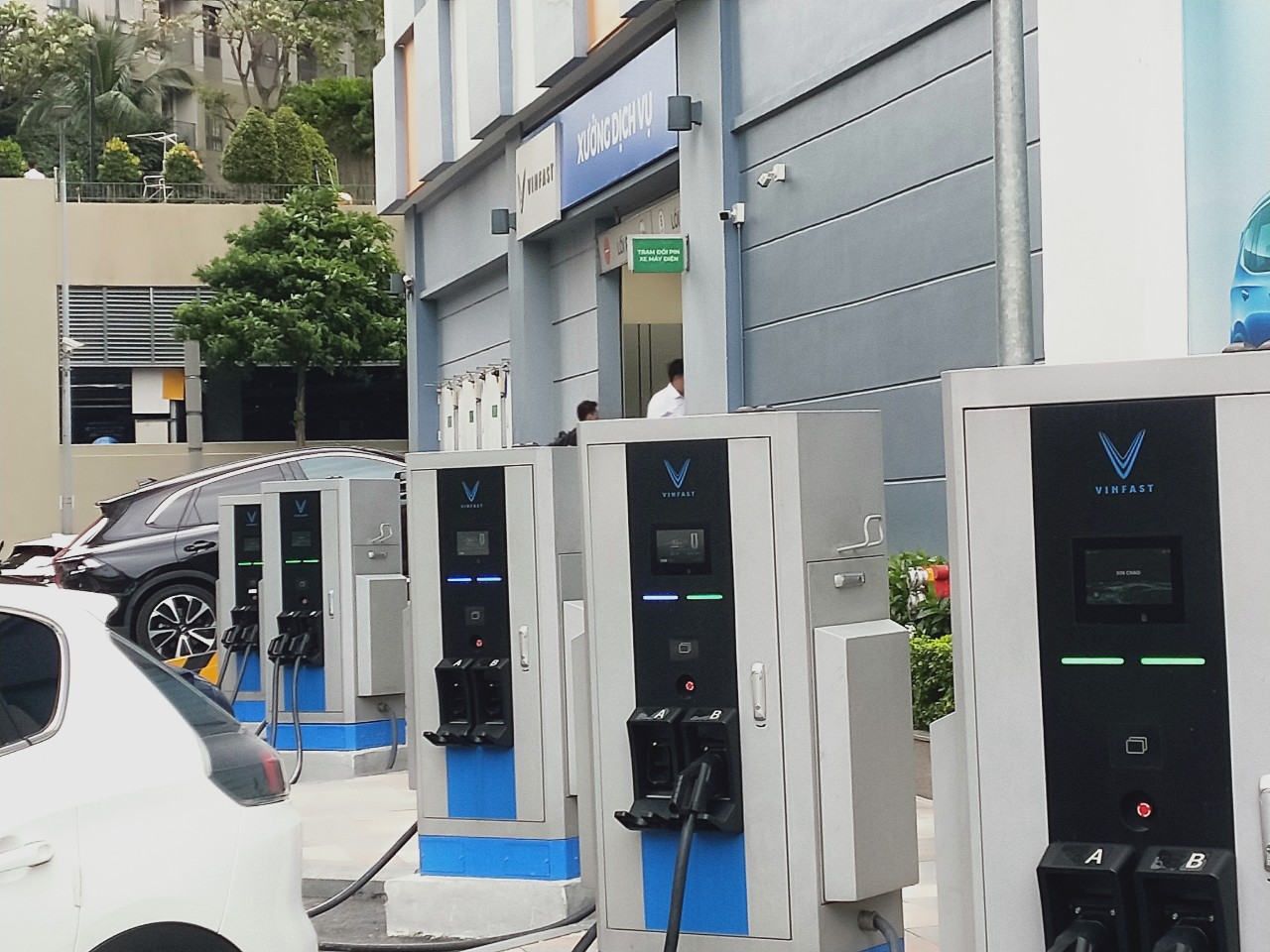 IMG_1692518013176_1692518063362