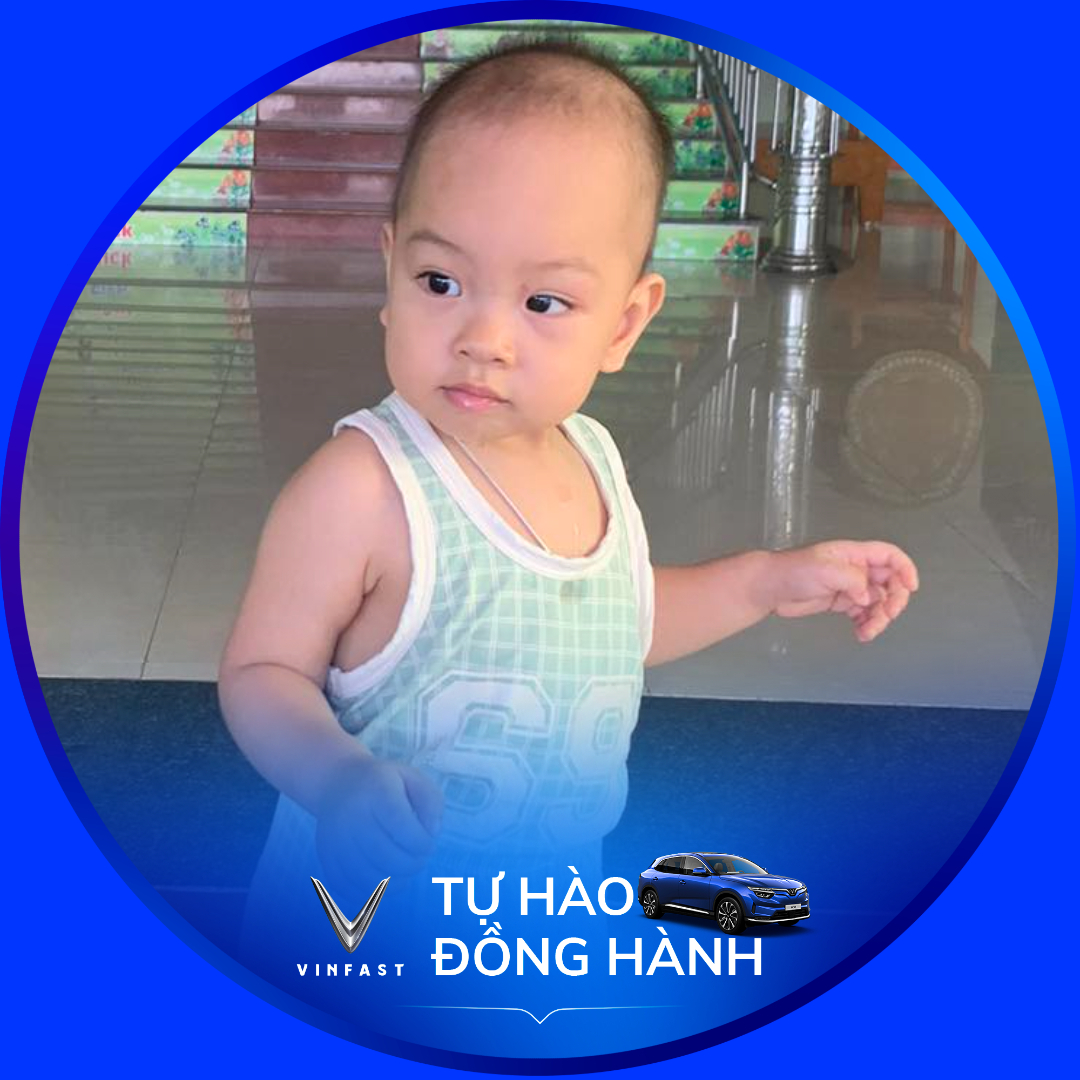 vinfasttuhaodonghanh-cd598c9e-4a85-4c85-aadd-bd3c577387fb