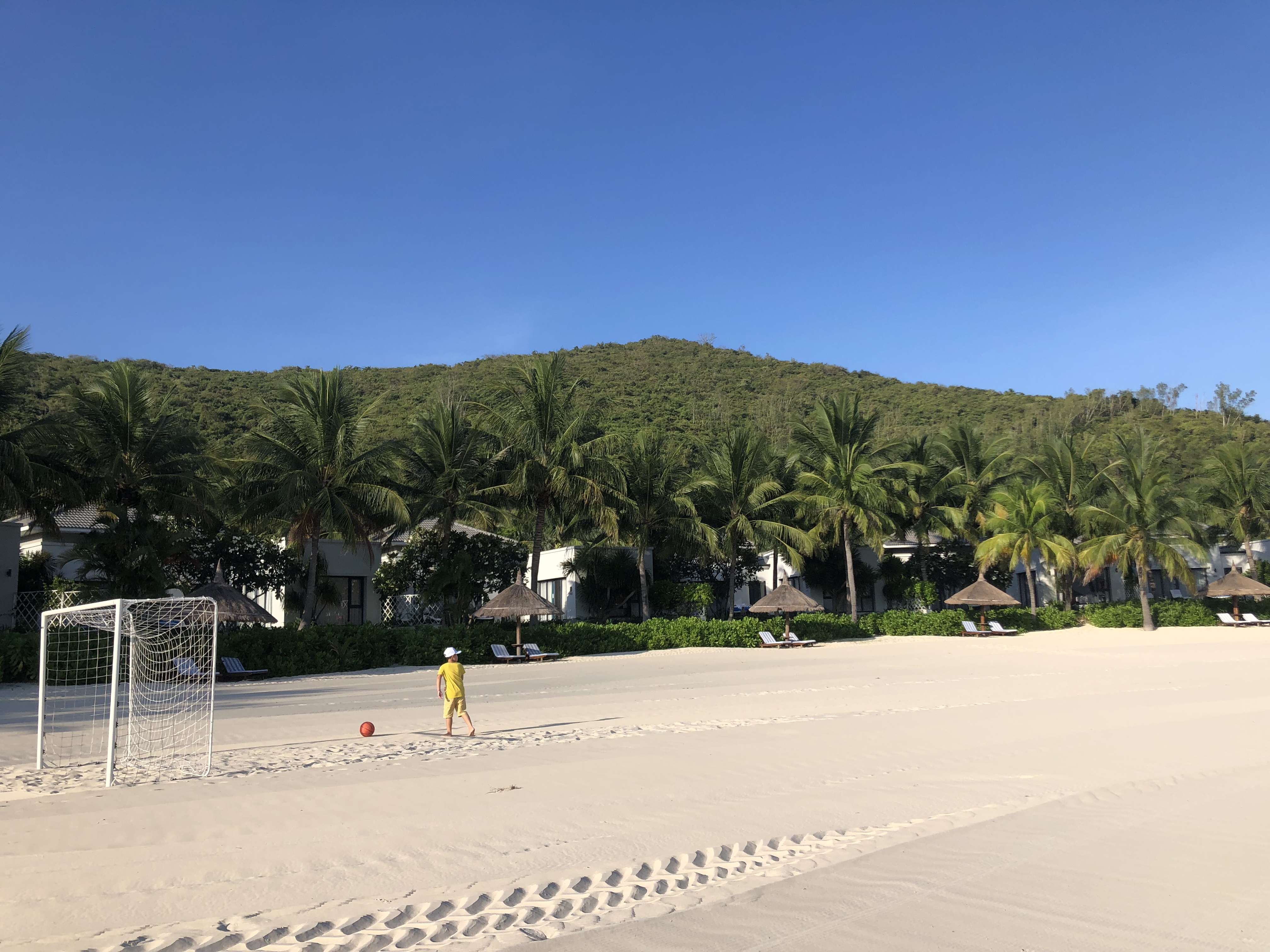 3A7388A6-F49F-4A94-8163-403852B9C146