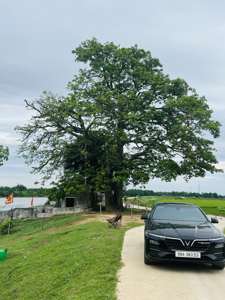 84cd33dd1114c34a9a05