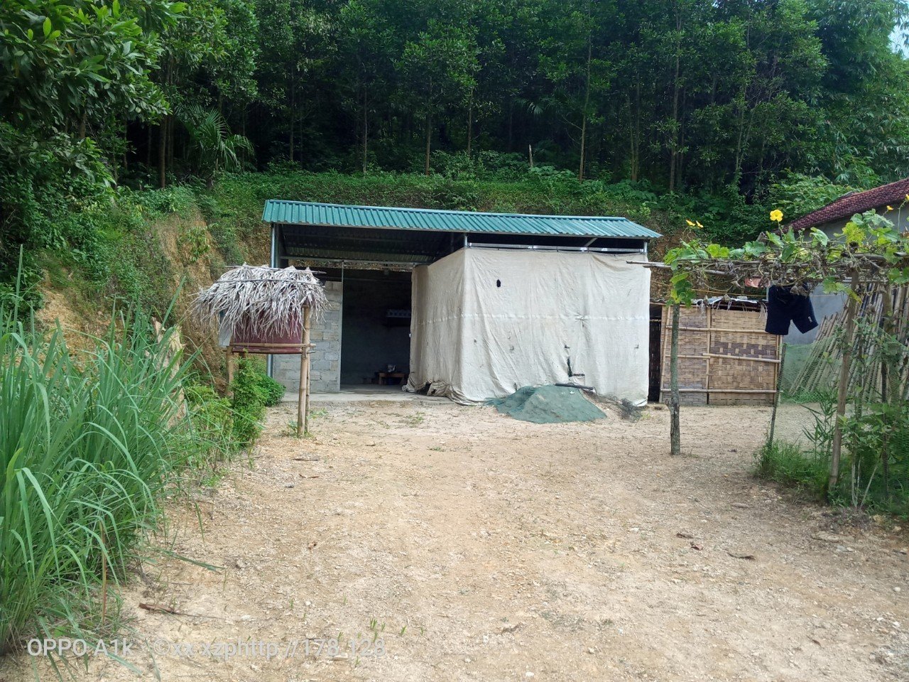 2421356c0d17b79c6c3758d0ce431ec0