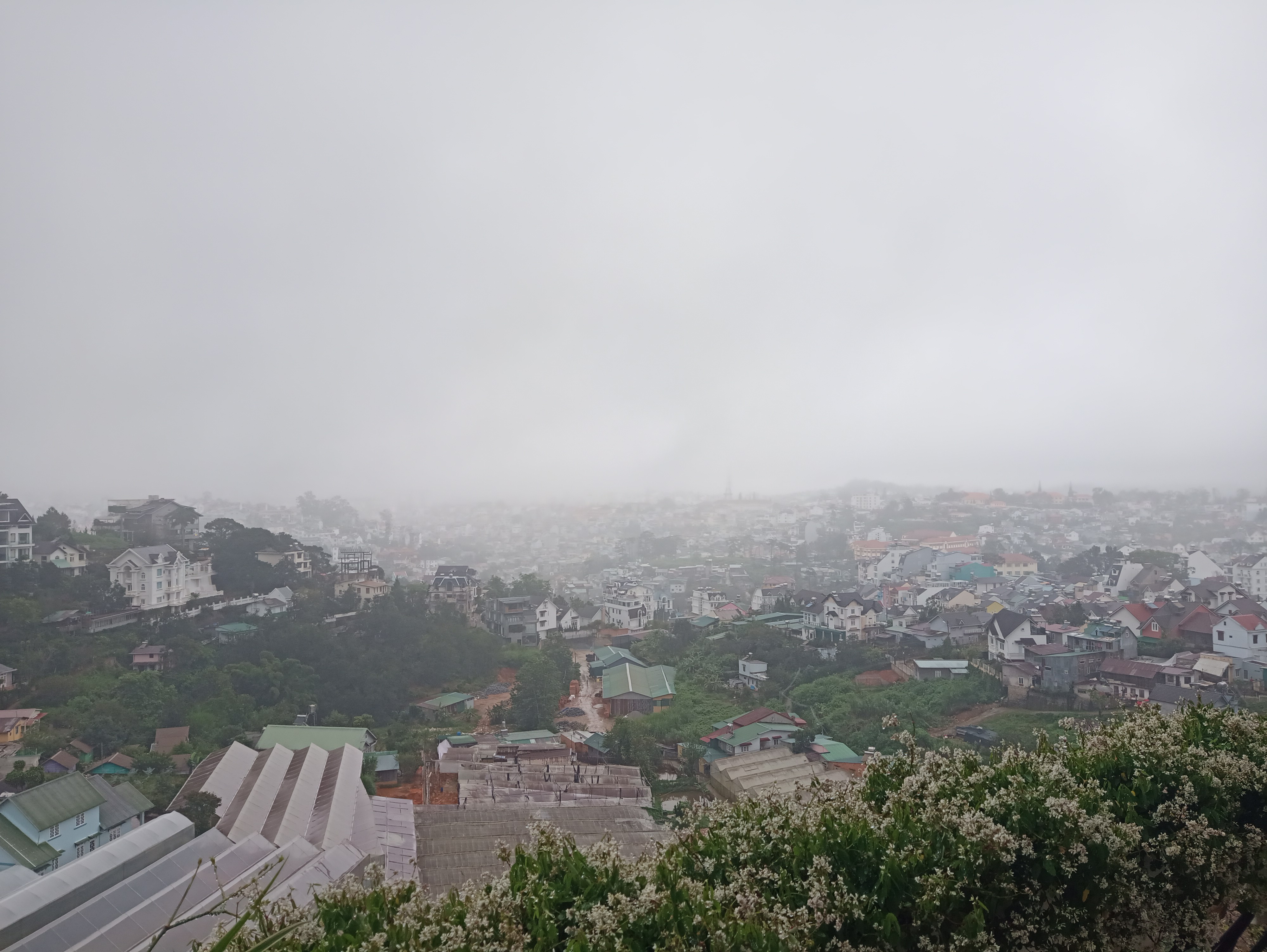 IMG_20230905_081527_764