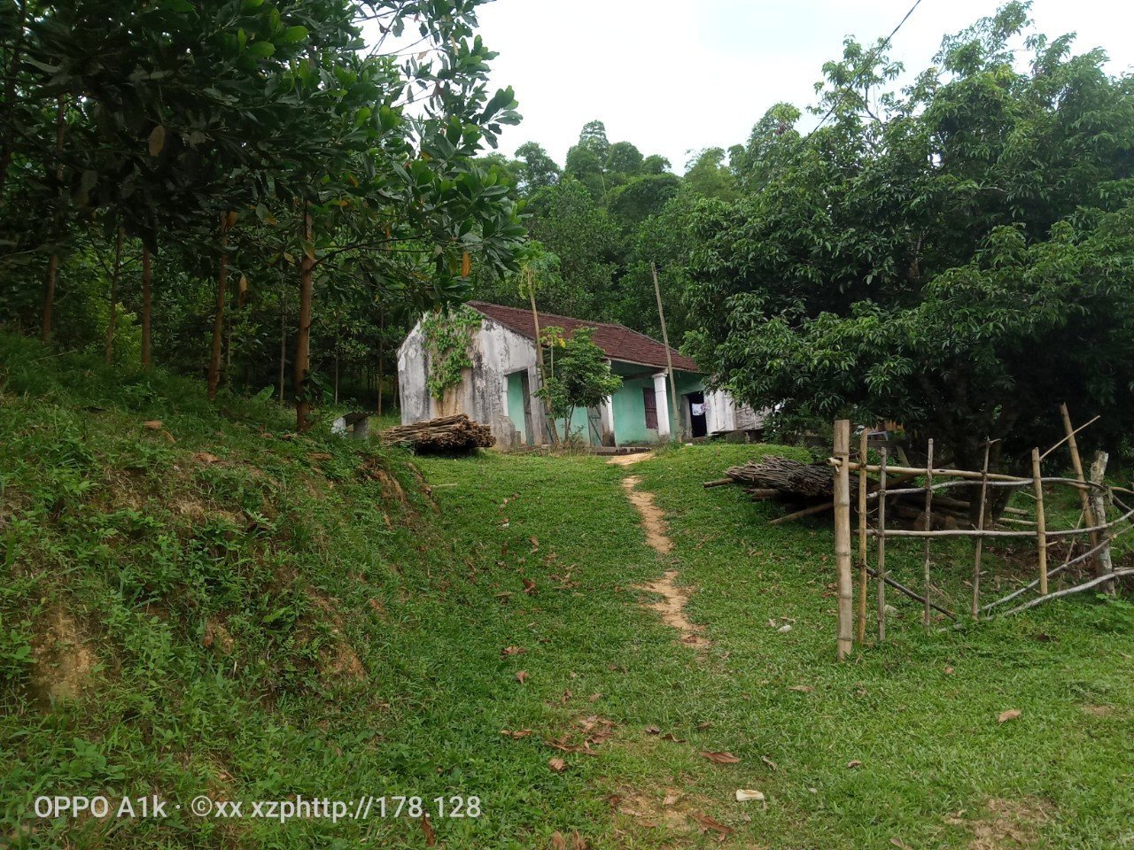 e8cfe756f38cfc41f77b12814e8361b5