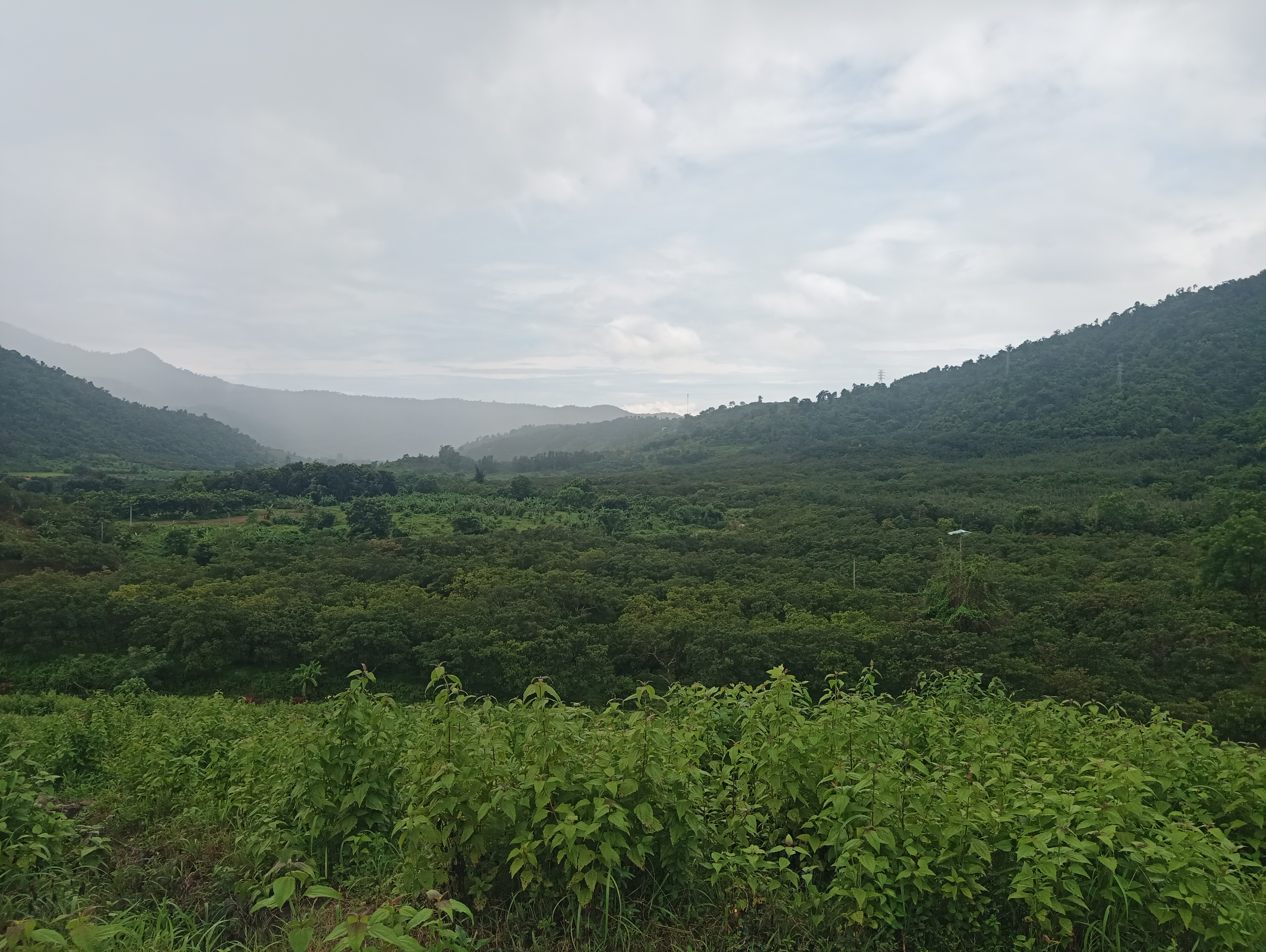 IMG_20230904_123039_620