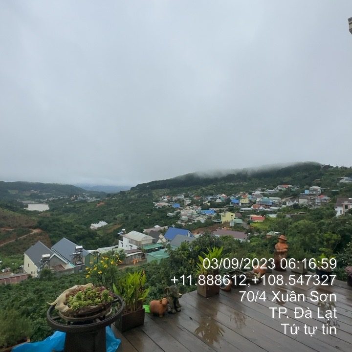 Tứ tự tin