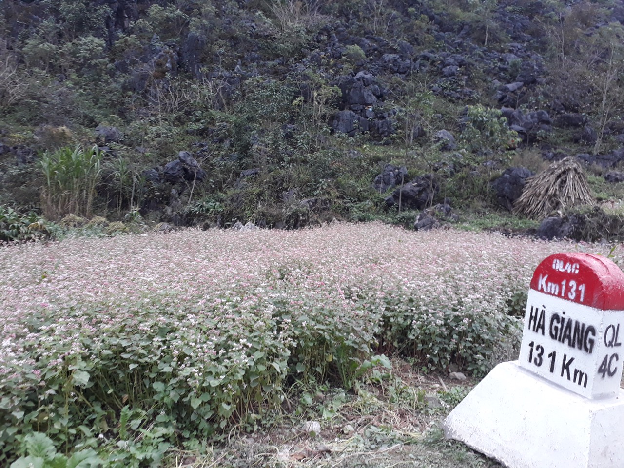 z4645674057635_11117427121d2553948c418f44c26fdb