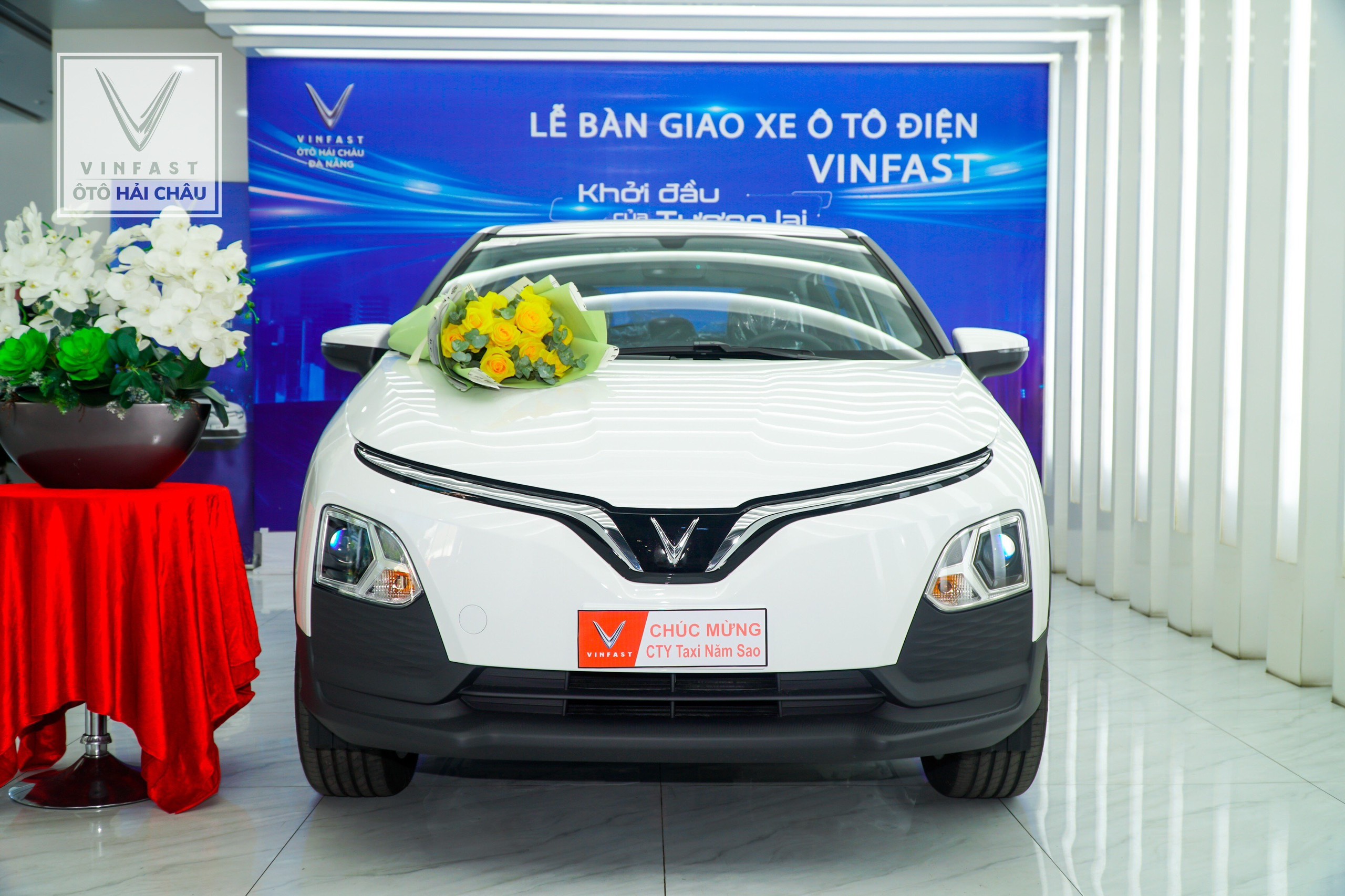 z4556813467778_fd824eeea415302aadca8d4f7c8a1b73