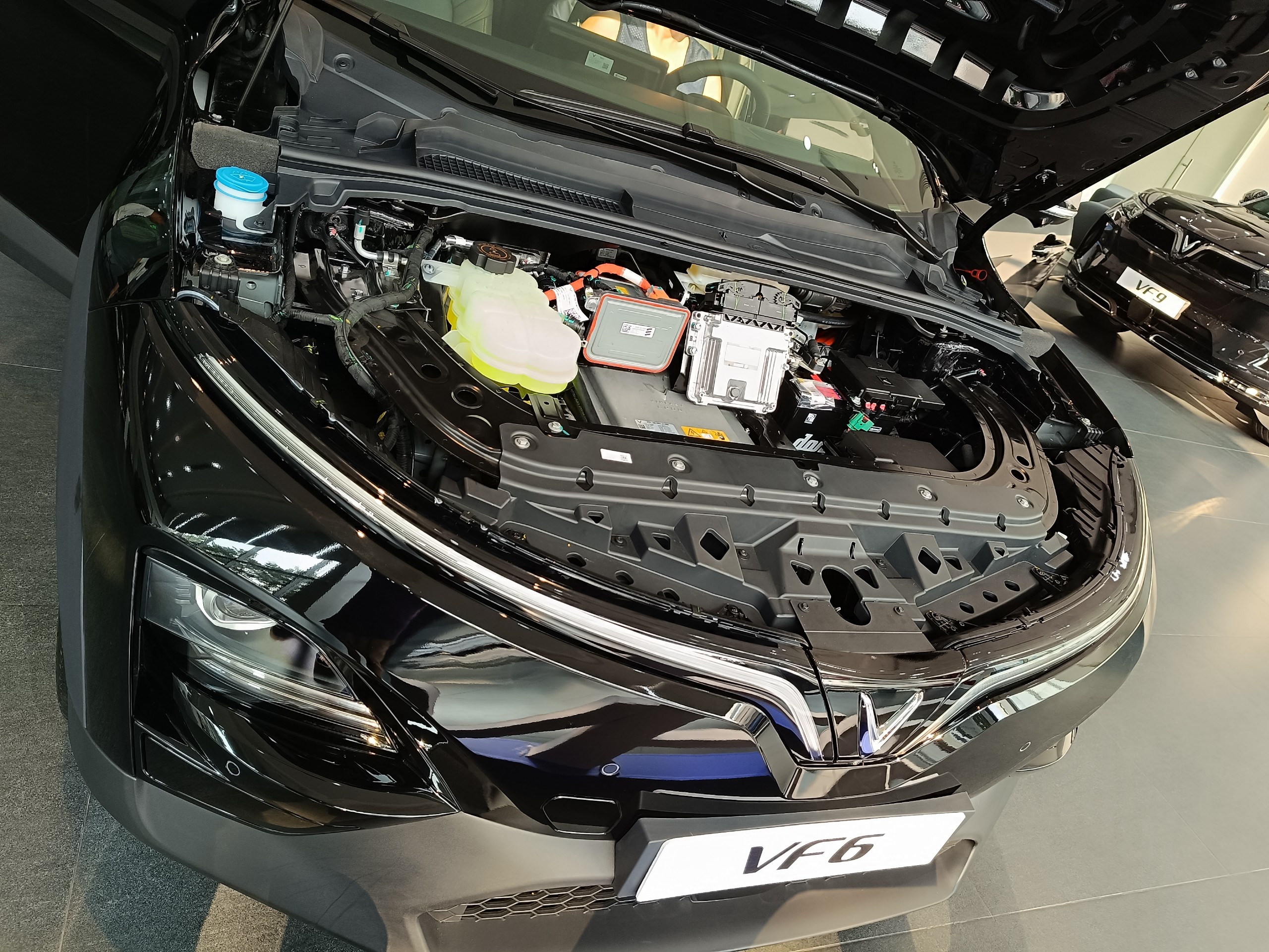 z4741884747121_e23636968ed036fab659ed56e734382c