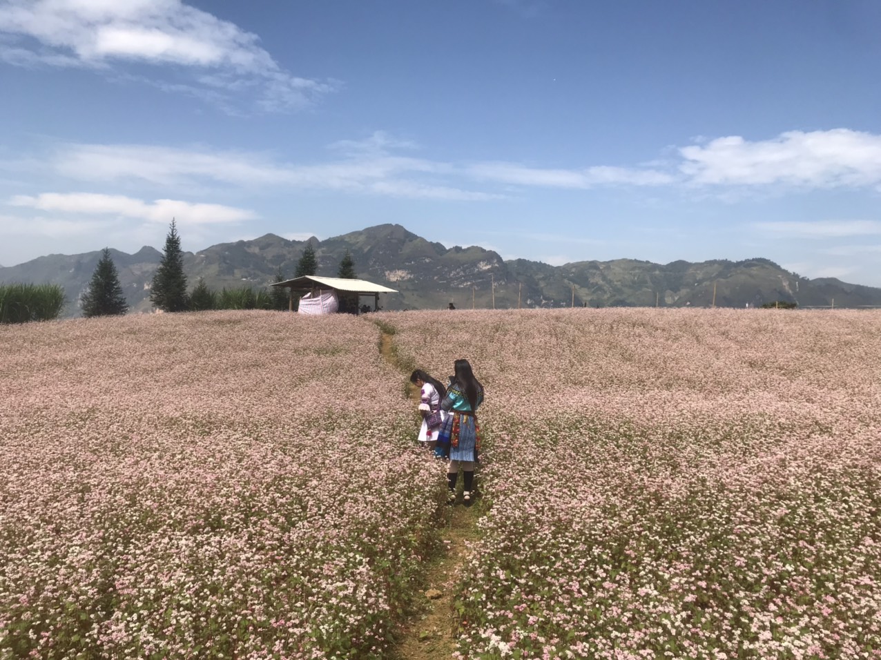 z4745327501575_b79c0ba240000338c7a80cfae12ebae6