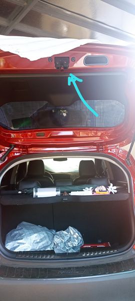 387016813_2608574405969521_4330281307069376949_n