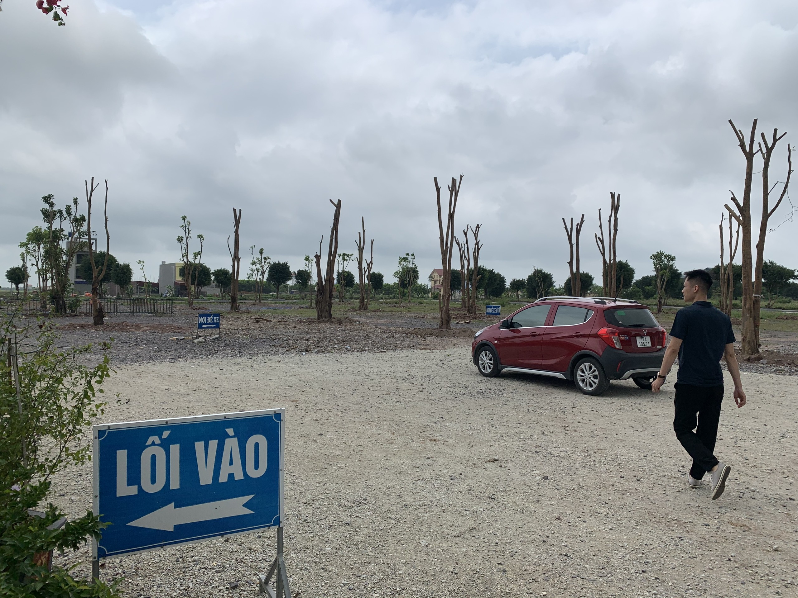 z4985232554553_0316bae550d316d55e1ca001eafd1223