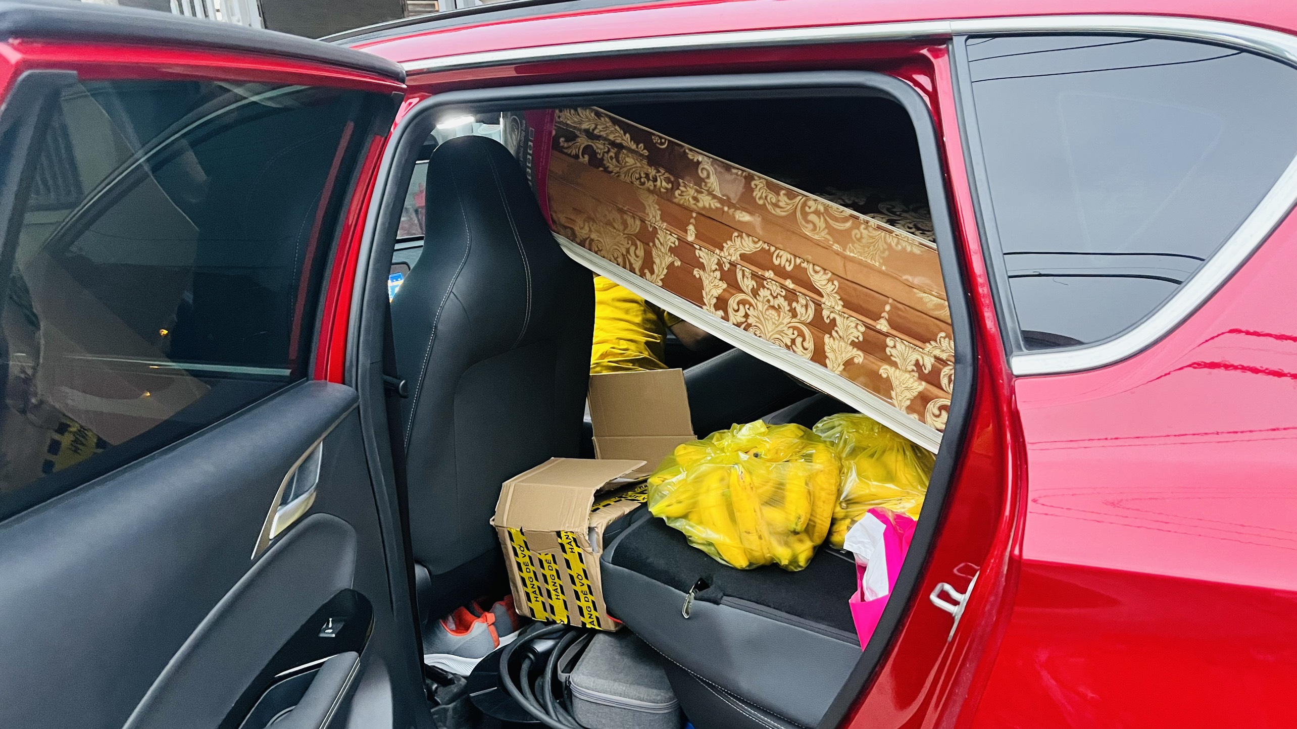 z4973160384064_558b6830dcd1a1933172d1ee942546e7