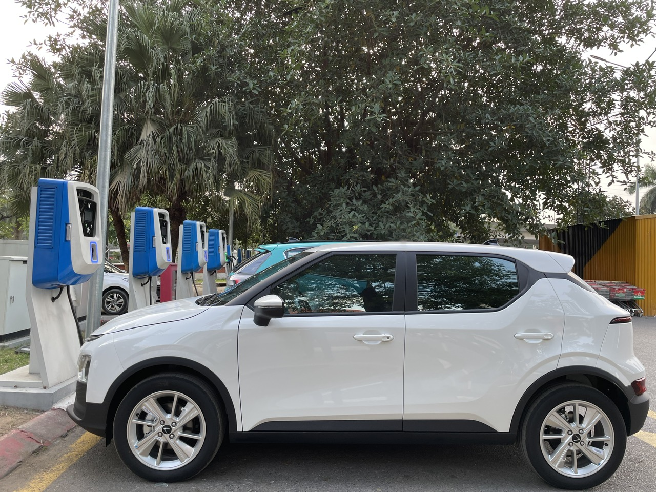 z5017721055103_7369765030aded3aba2d8a201c9626db