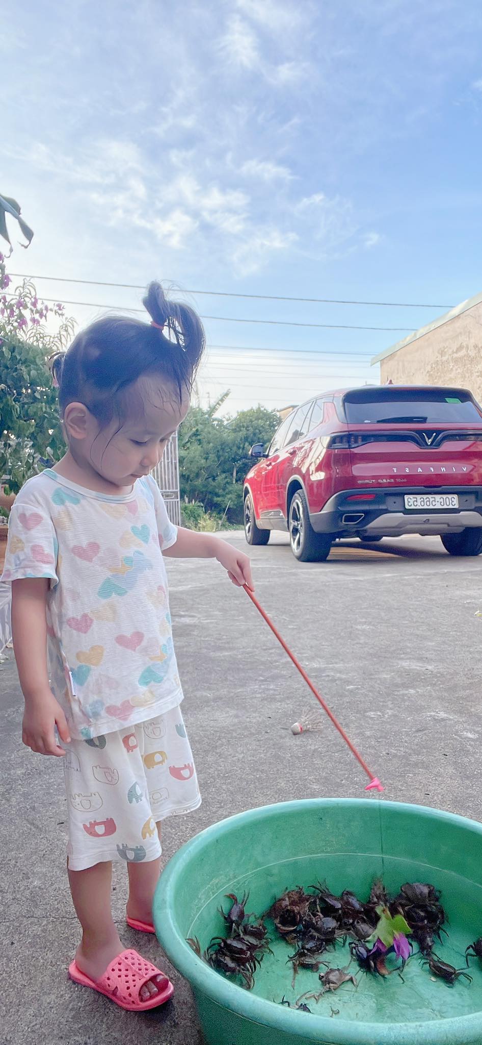 412752626_2138274189844168_4488472512139557447_n