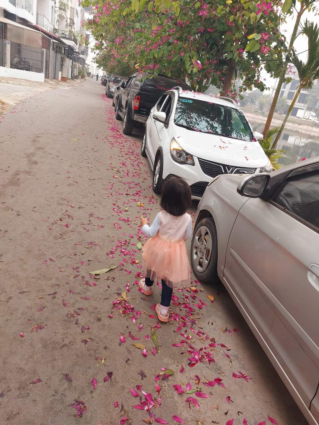 fb_img_1703993249288