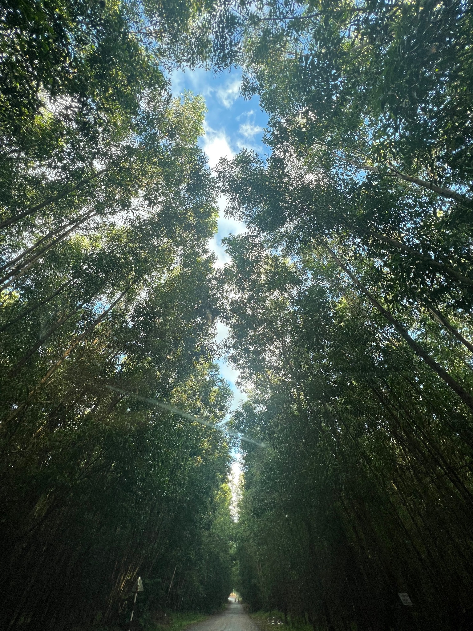 410461893_7623463727683439_1203431401739476713_n