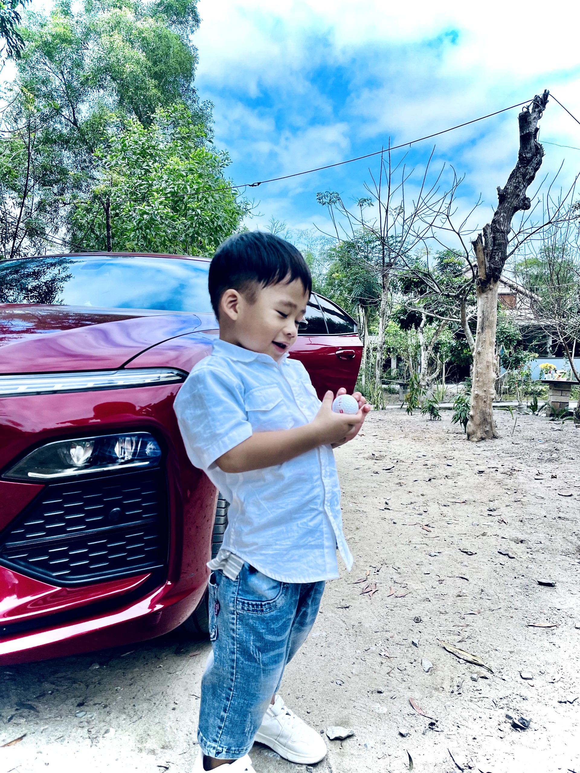 z5011954141904_73f73cd0890e72df6866cff339e776c9