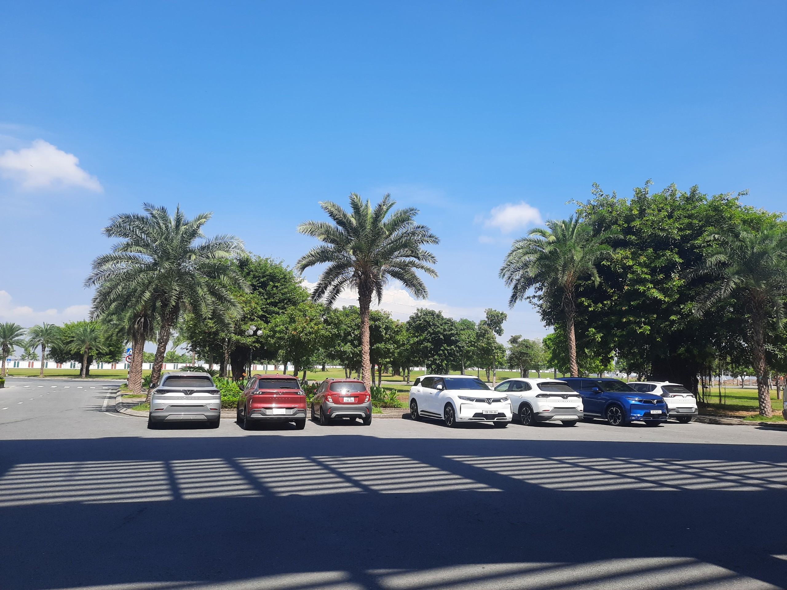 IMG_1702561391233_1702561408388