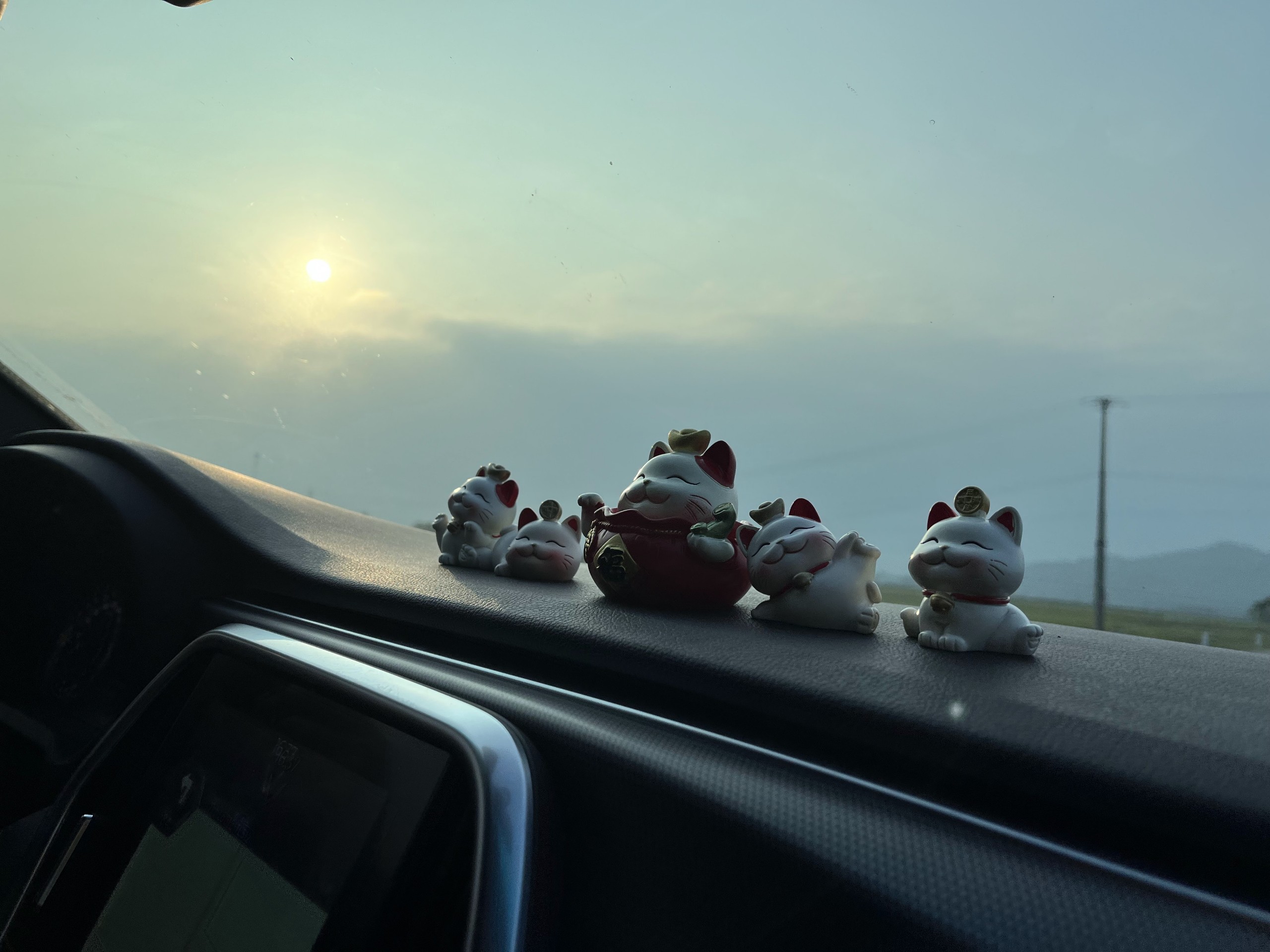 z5011987332547_bc425d33c76d453b61beb43f64e87111