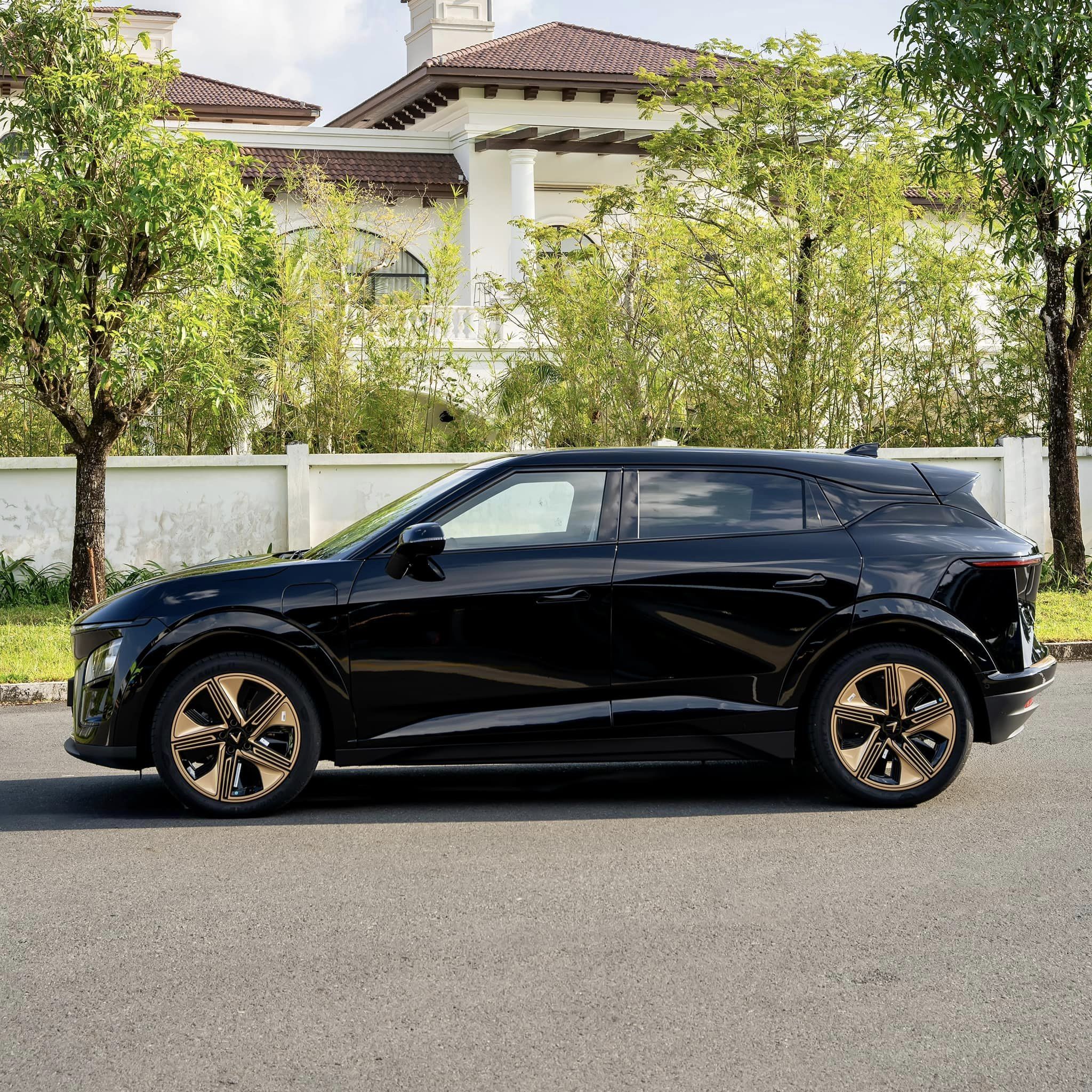 411371029_319323304262596_9214493659731481793_n