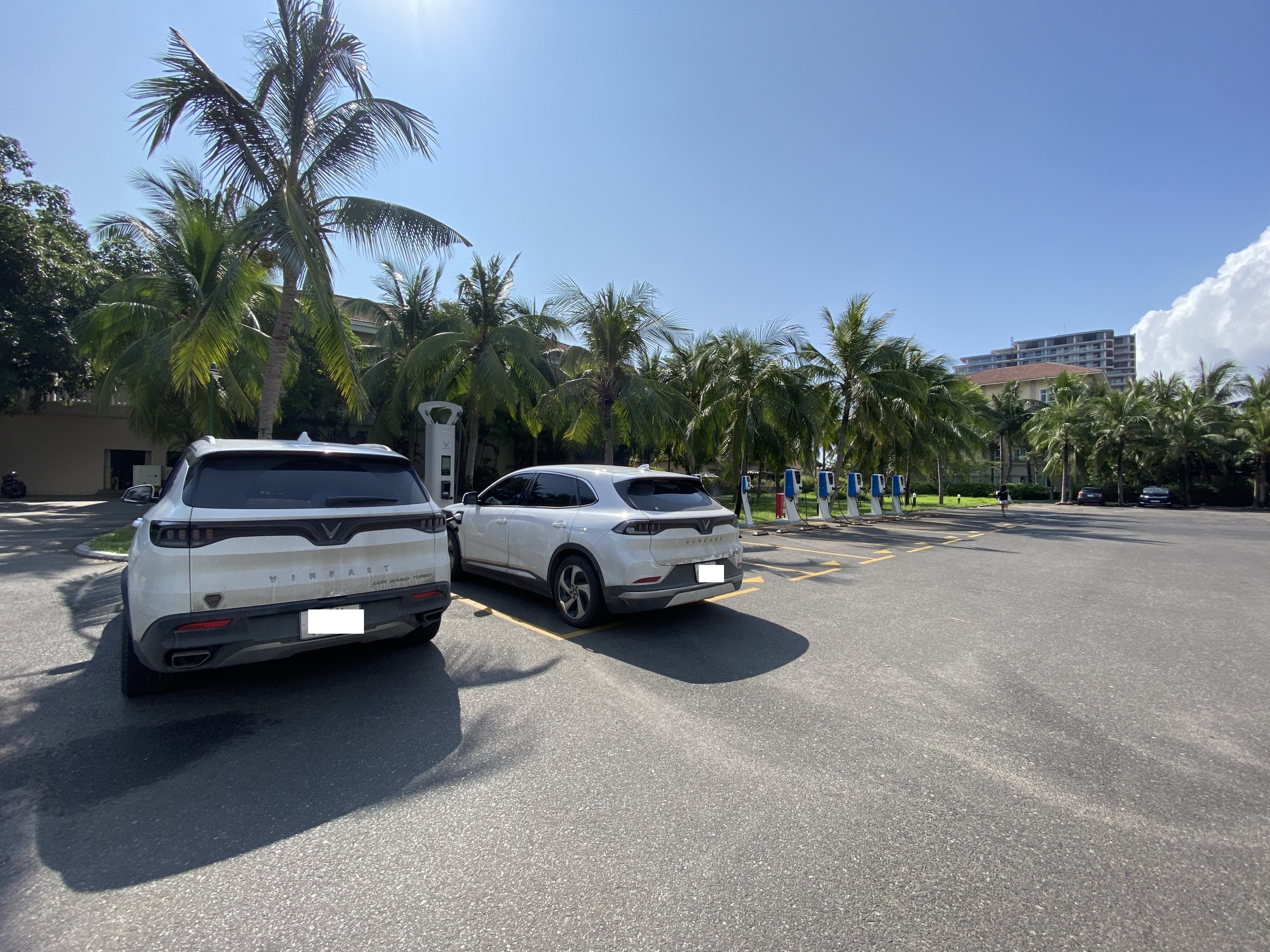 z5035547816154_4bf3874a9f8458633ba092bf3eb415e2