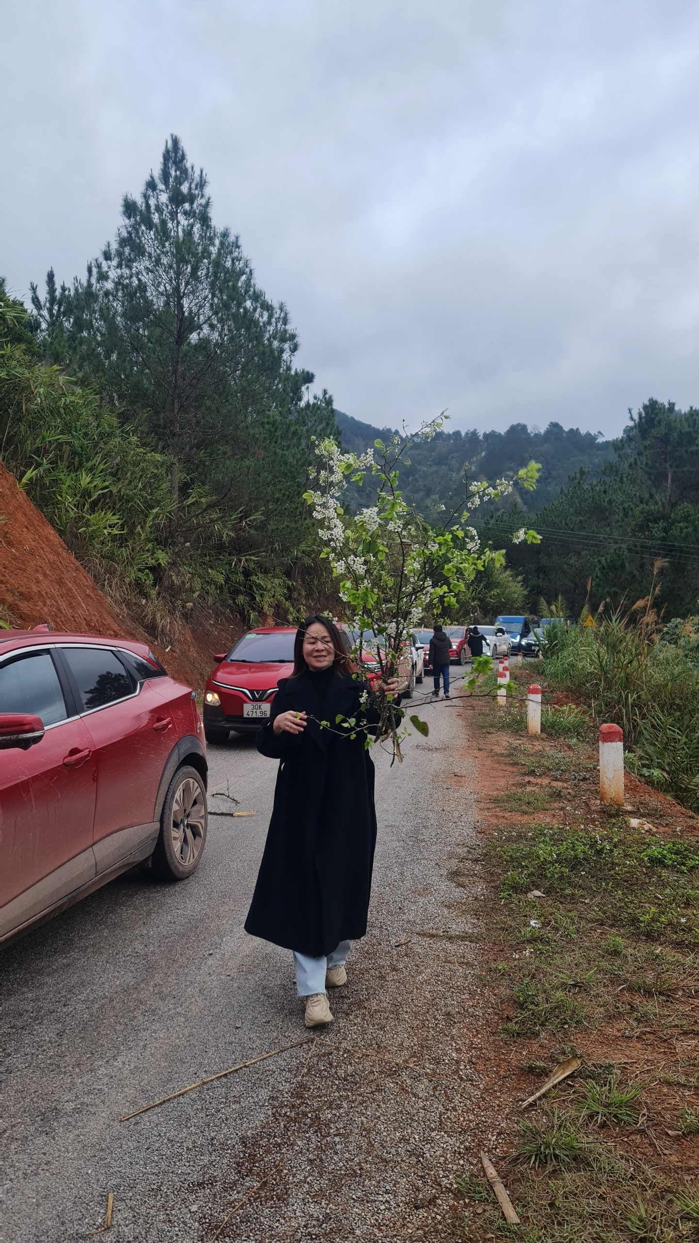 10c3b0bf59dcf228ef0a9fe78a2fa8bb