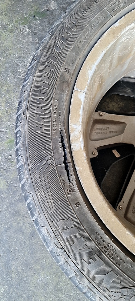 z5048329774681_9615e364ff6a3226a7e7854458ef088b