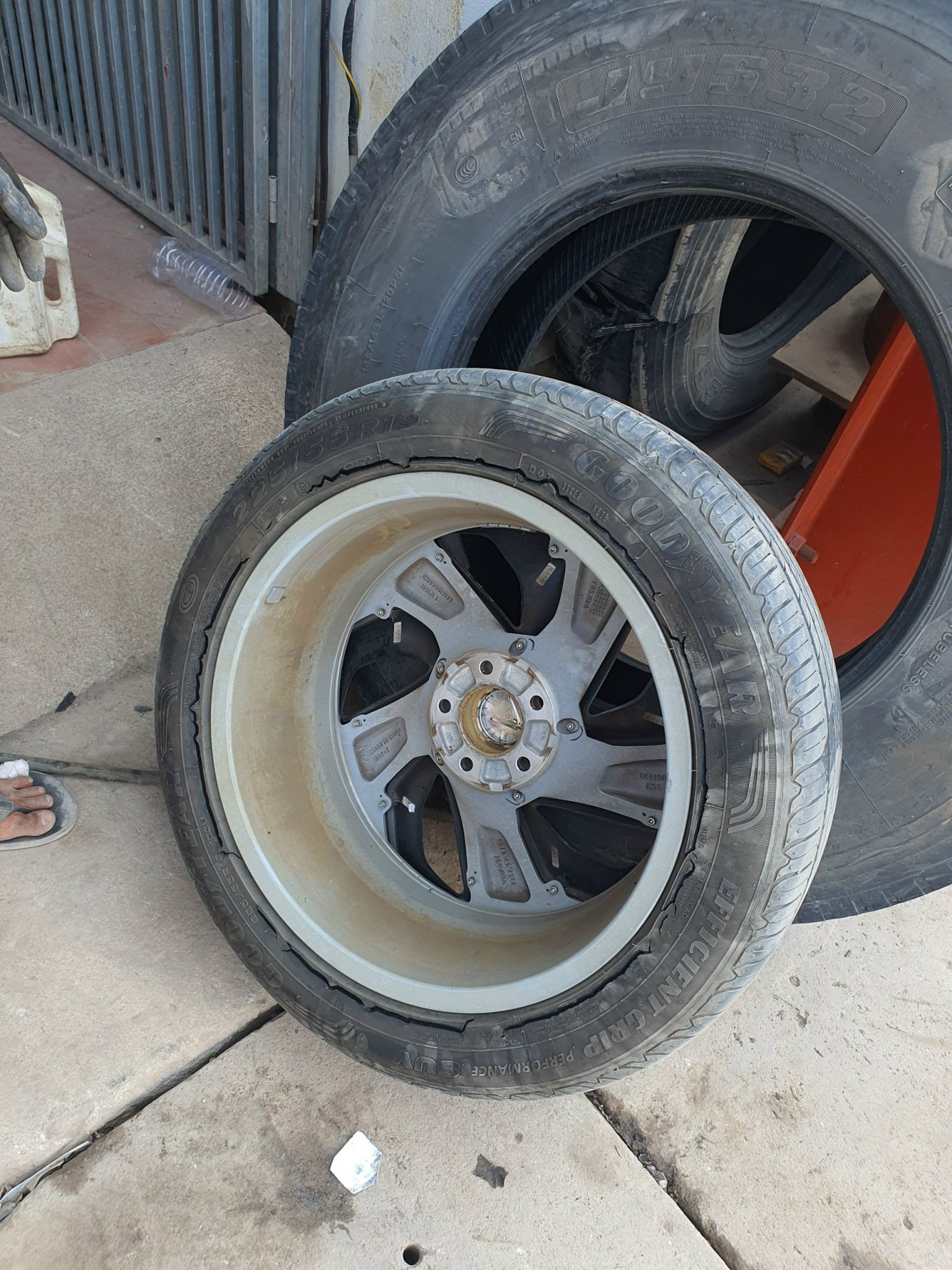 z5048329973492_b6fe88fef19319ba7d0e4607b22b8538