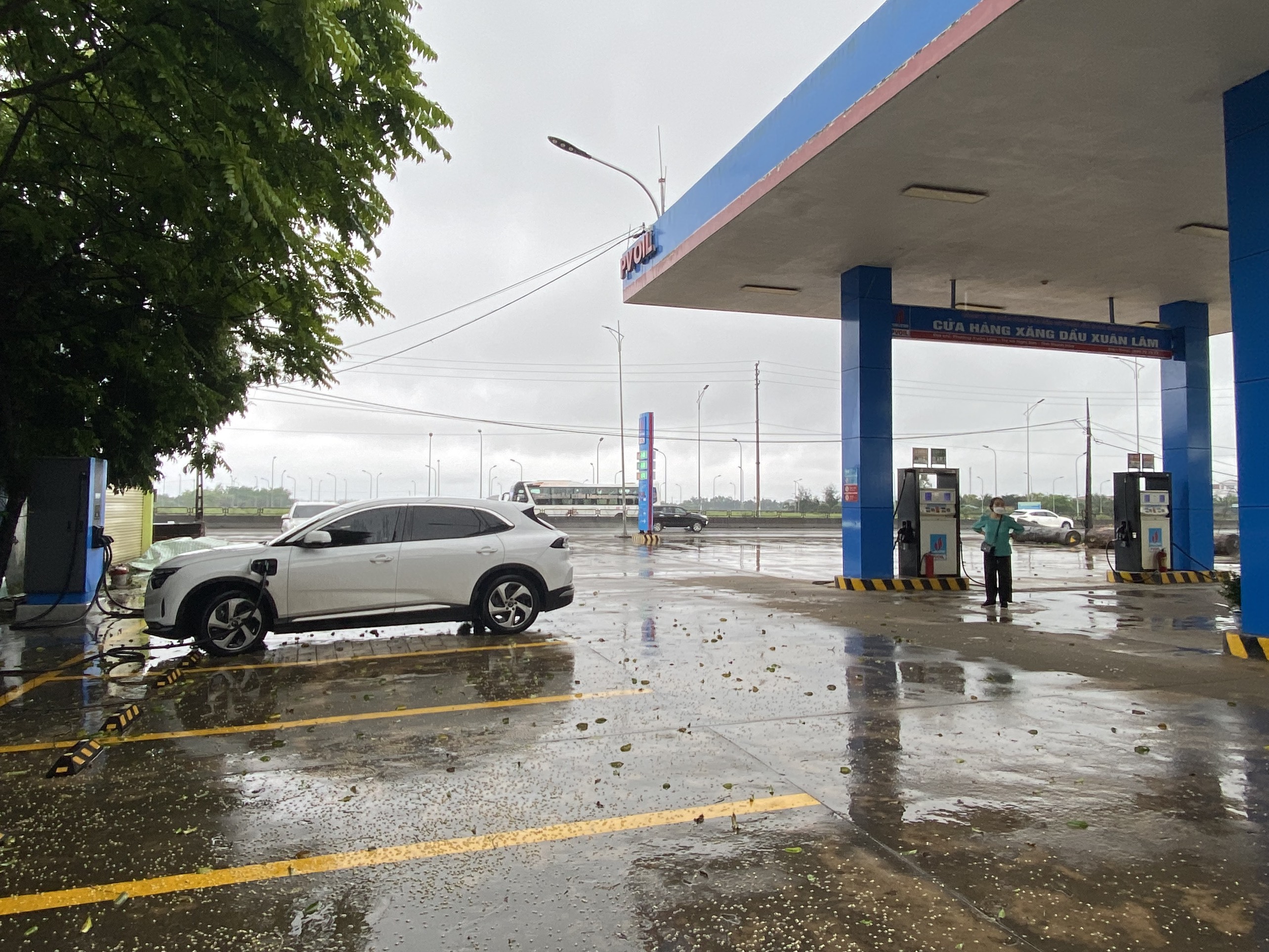 z5035547895118_8cb0577d2a07dcc36c89b3202f9848e2