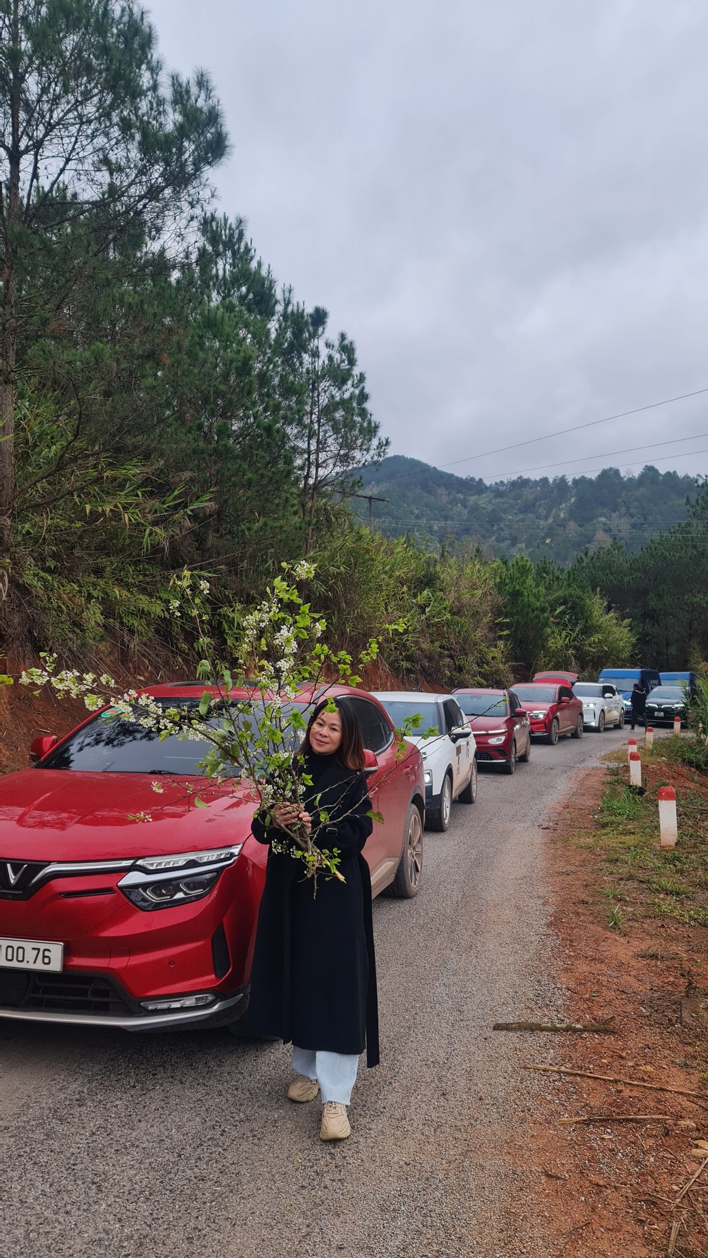 46850c238365b30dd228a3c83e1ce6e2