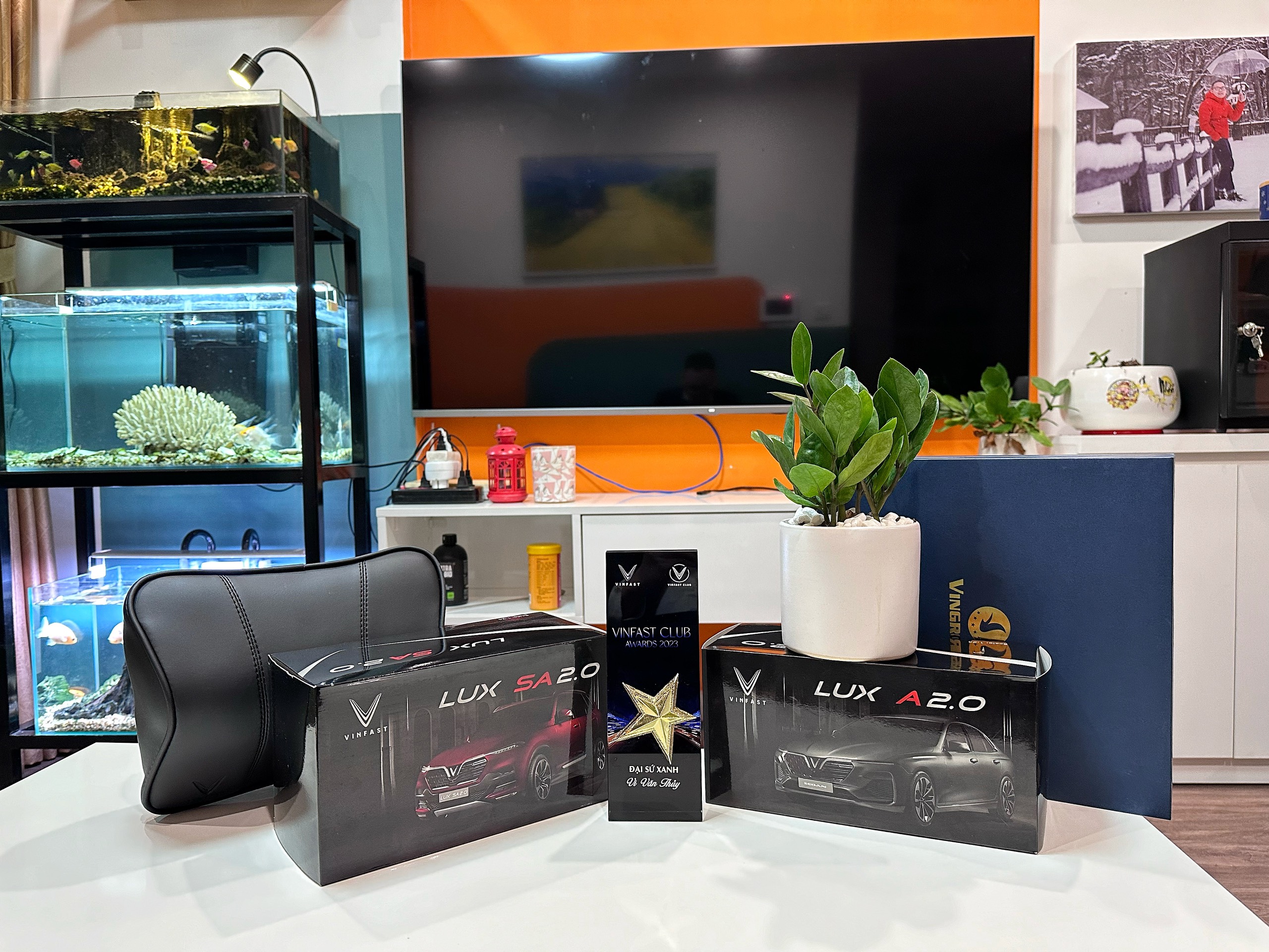 z5104290883949_3701775b9d52730fc0c0bc645883cd99