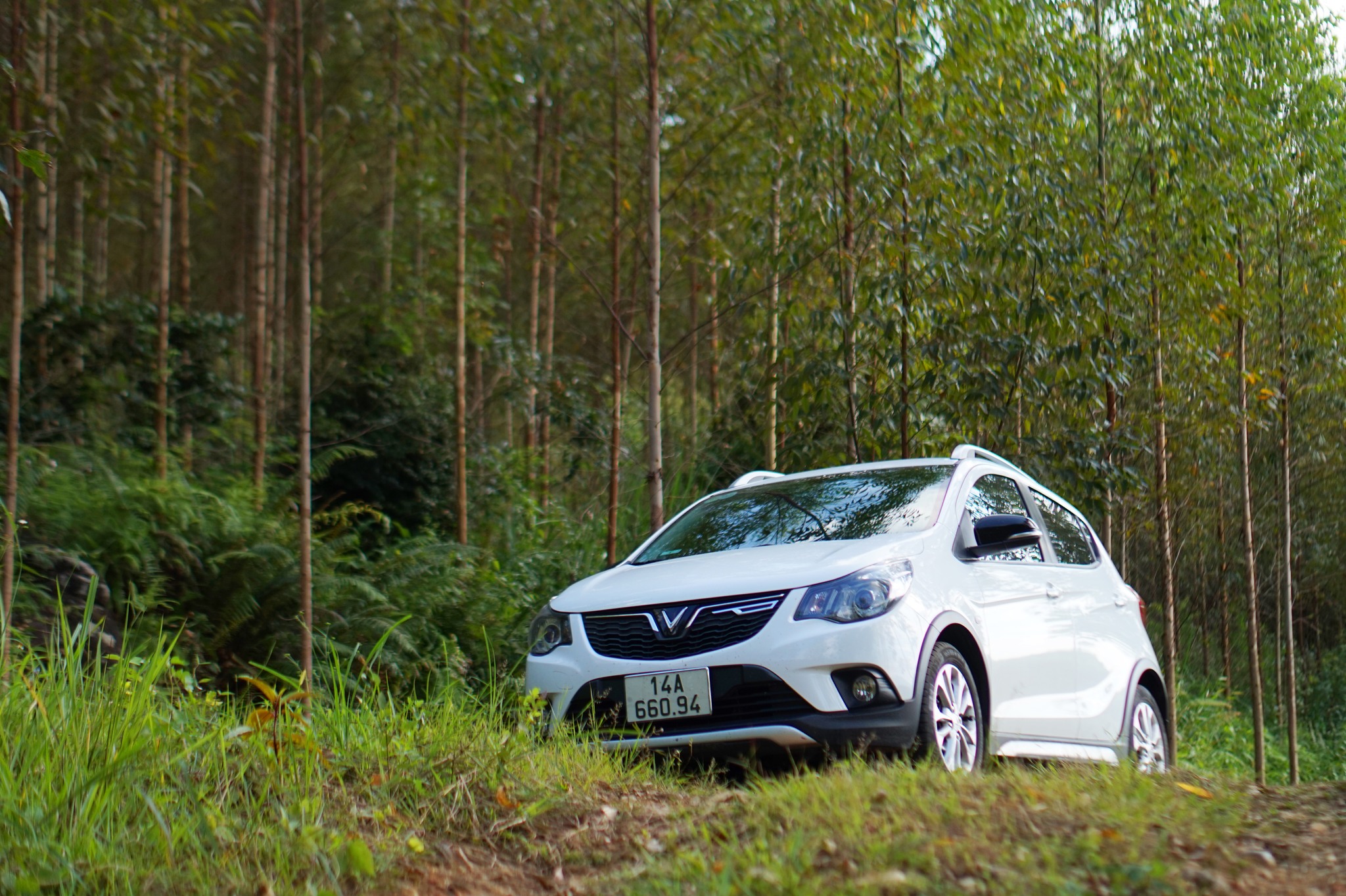 393345925_2075828262767313_4582782379897117243_n