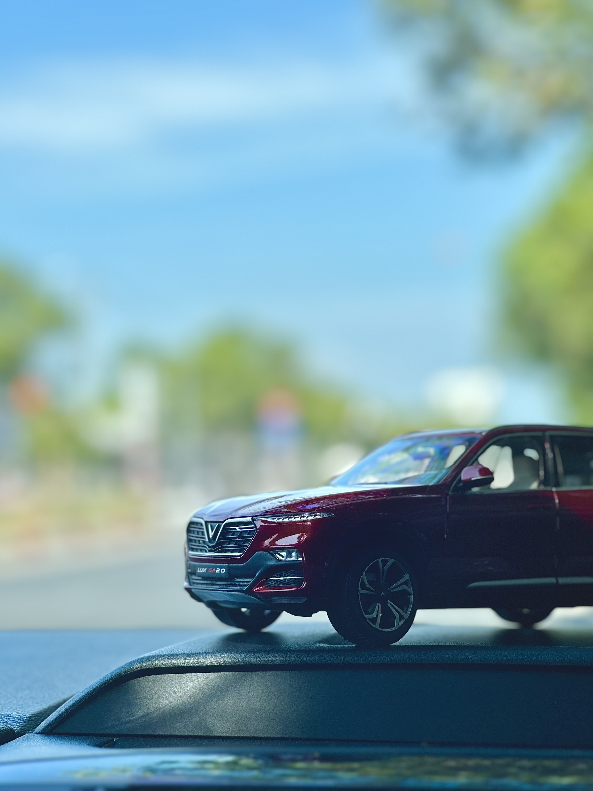 z5122997377260_ce5175c216dd2582ff992f1033e5a993