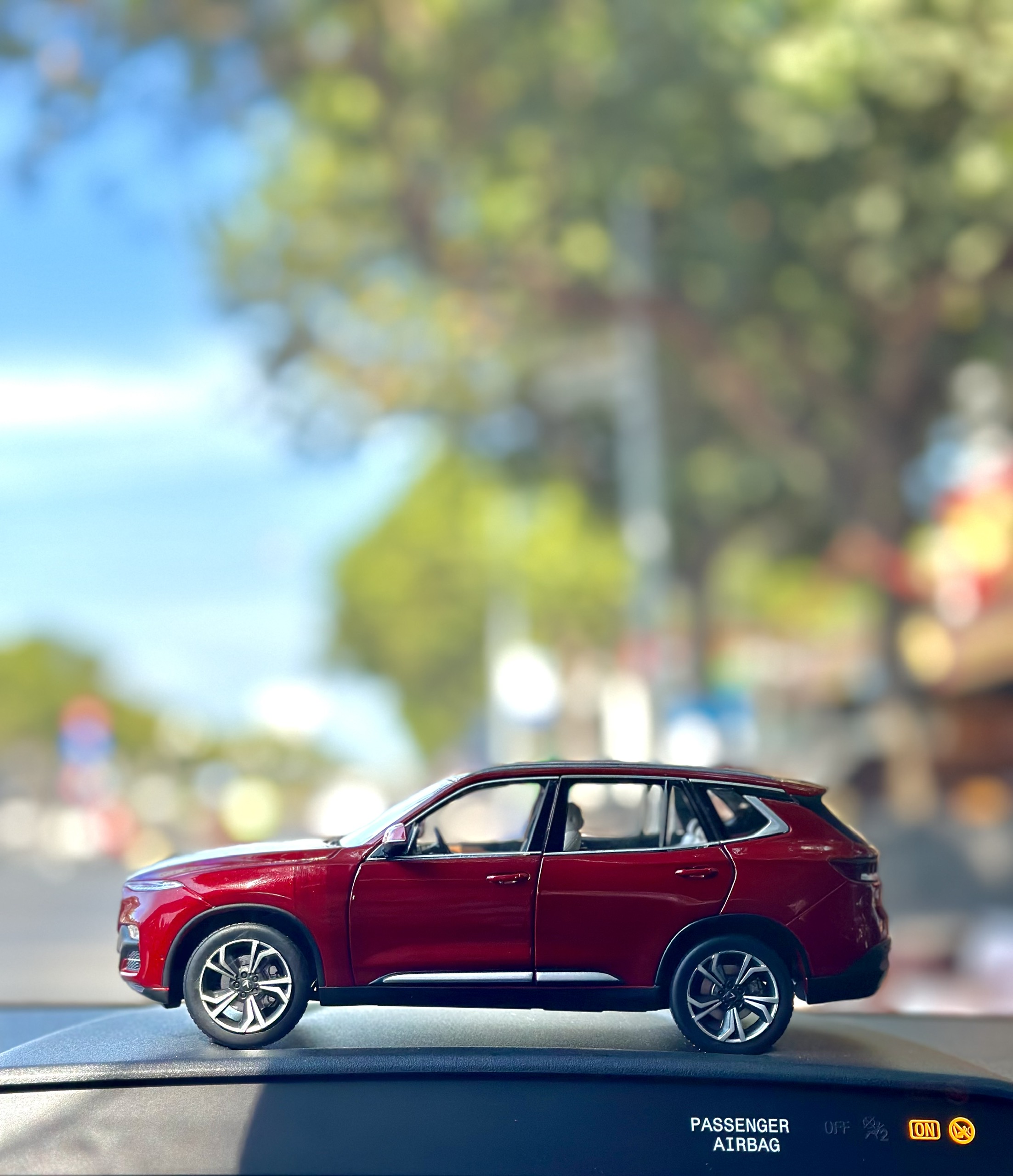 z5122997426072_15c648ea36aba3d74d8a489367d351b4