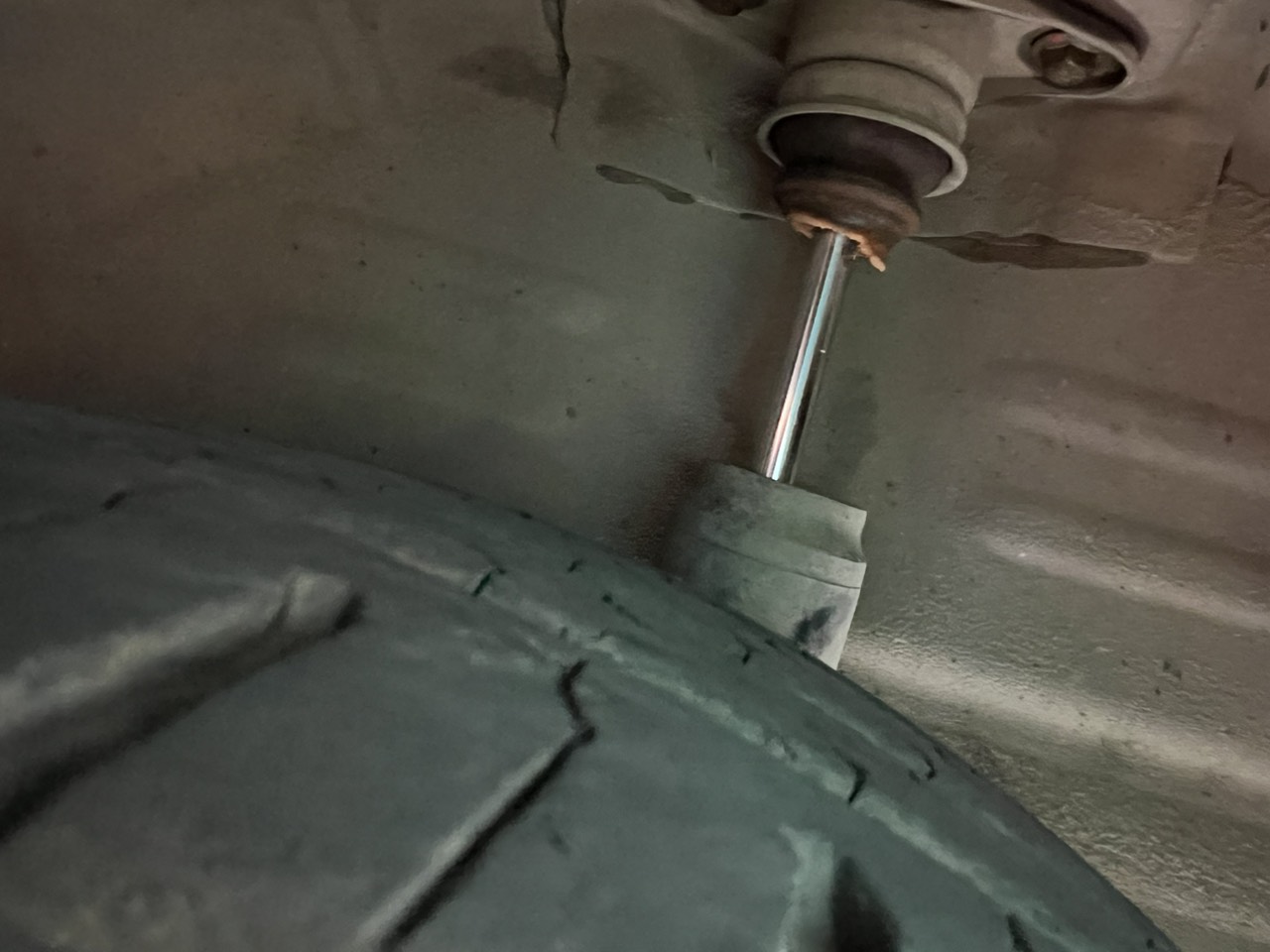 z5283269336688_ed83c62f2918691d92b2960c91d06276