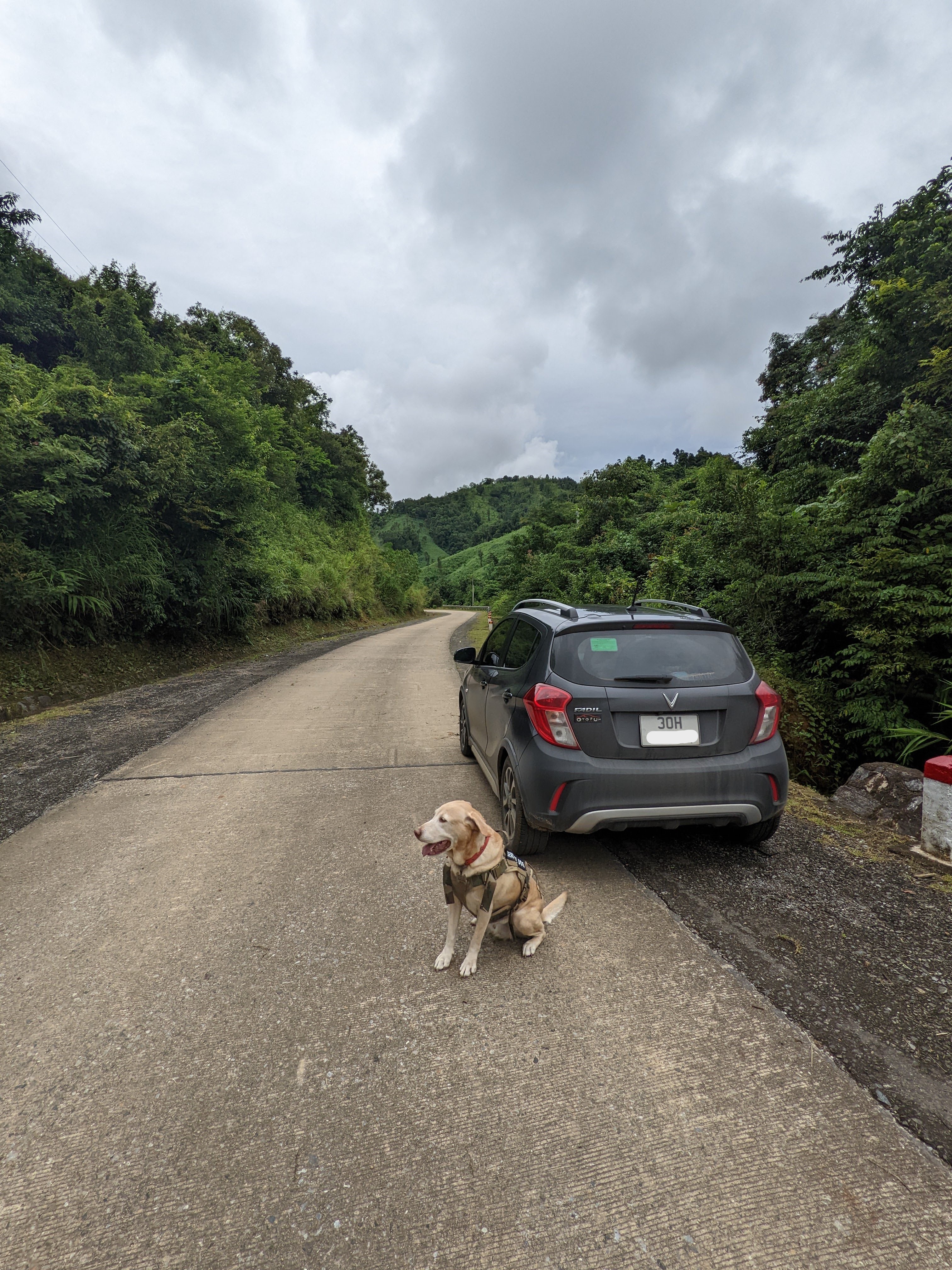 PXL_20220925_041755806