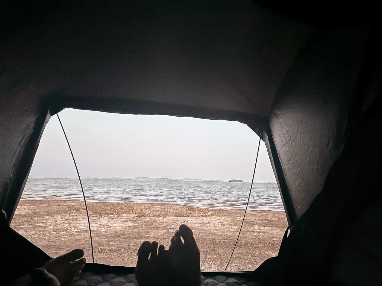 54e08371ababe98c917aa490343a5d9a