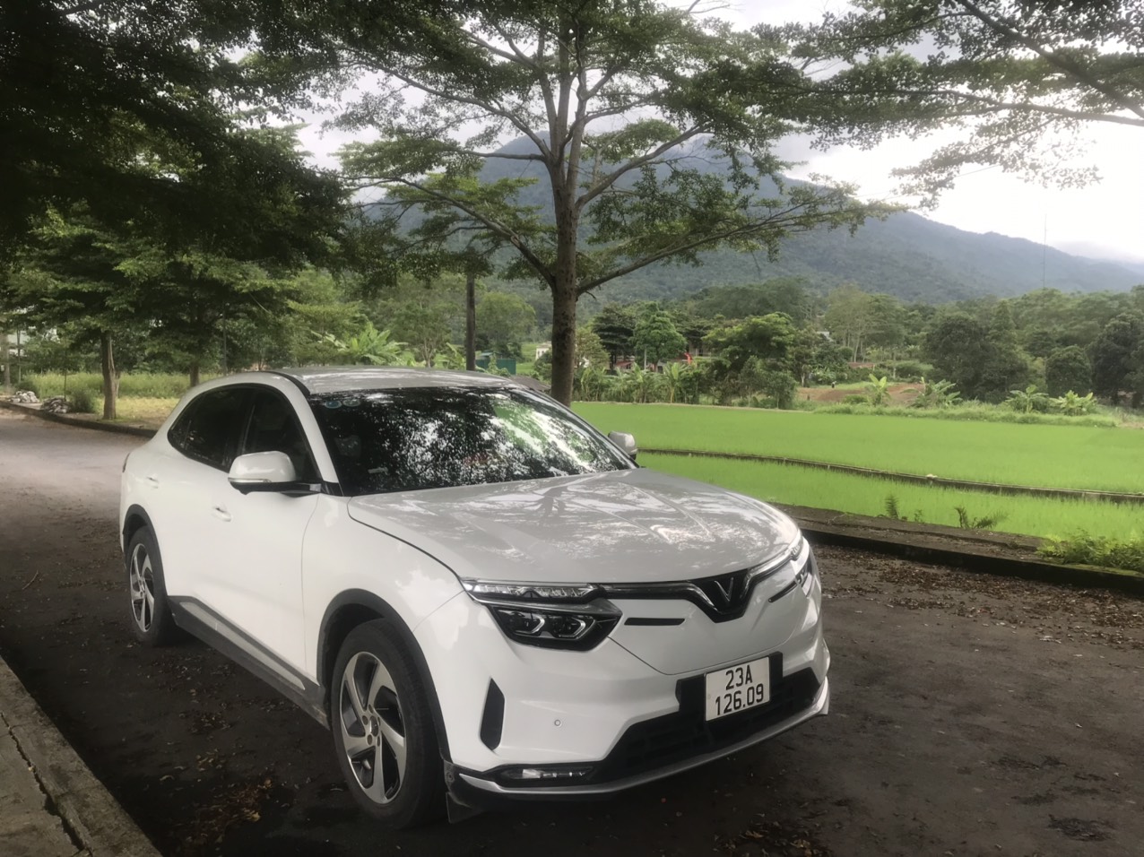 z5725739917423_f00f8302950f67e16a9fee1310653286