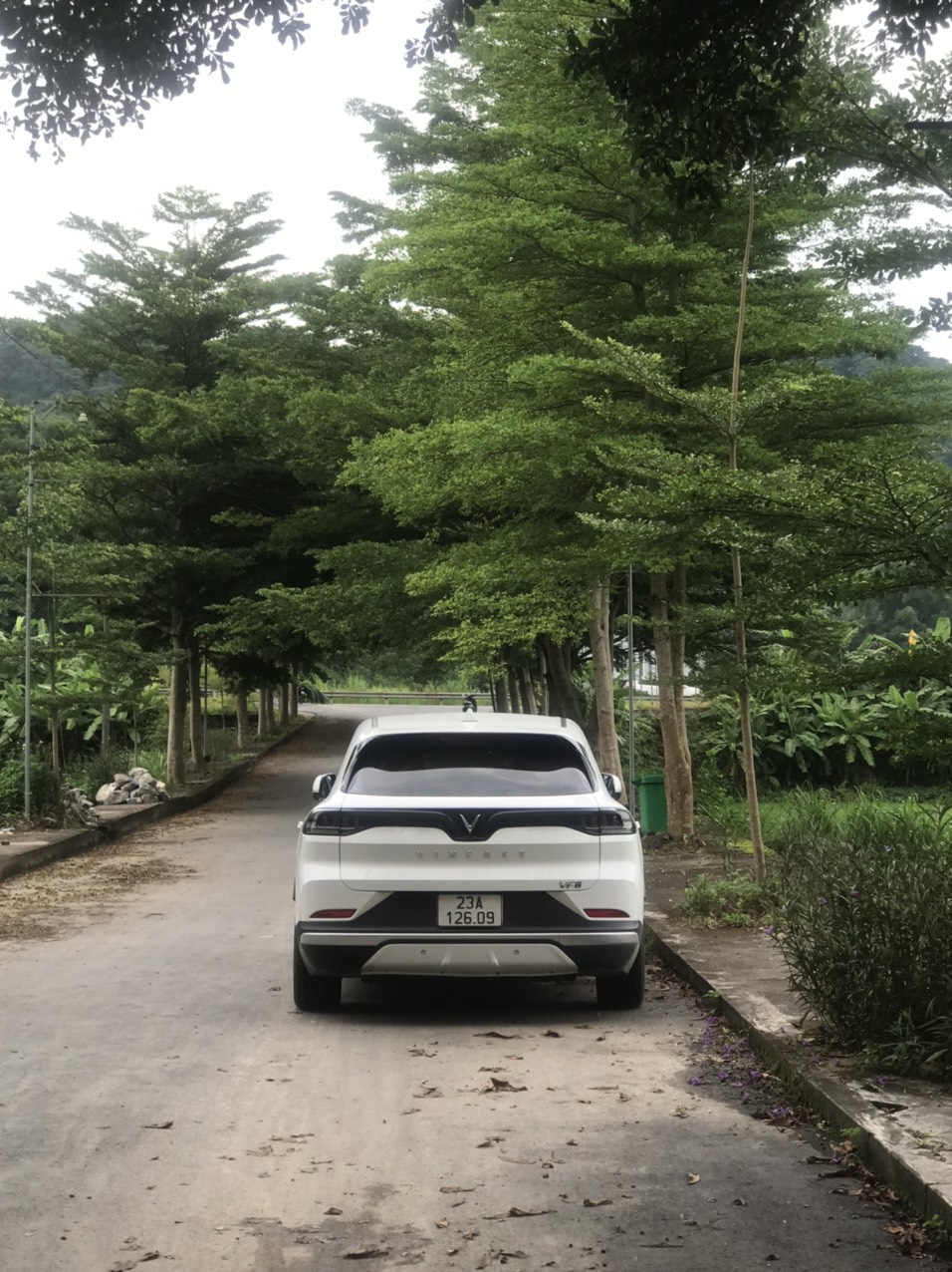 z5725739919805_52bf5c860d13ca3fe39ae27a9d30cc9c